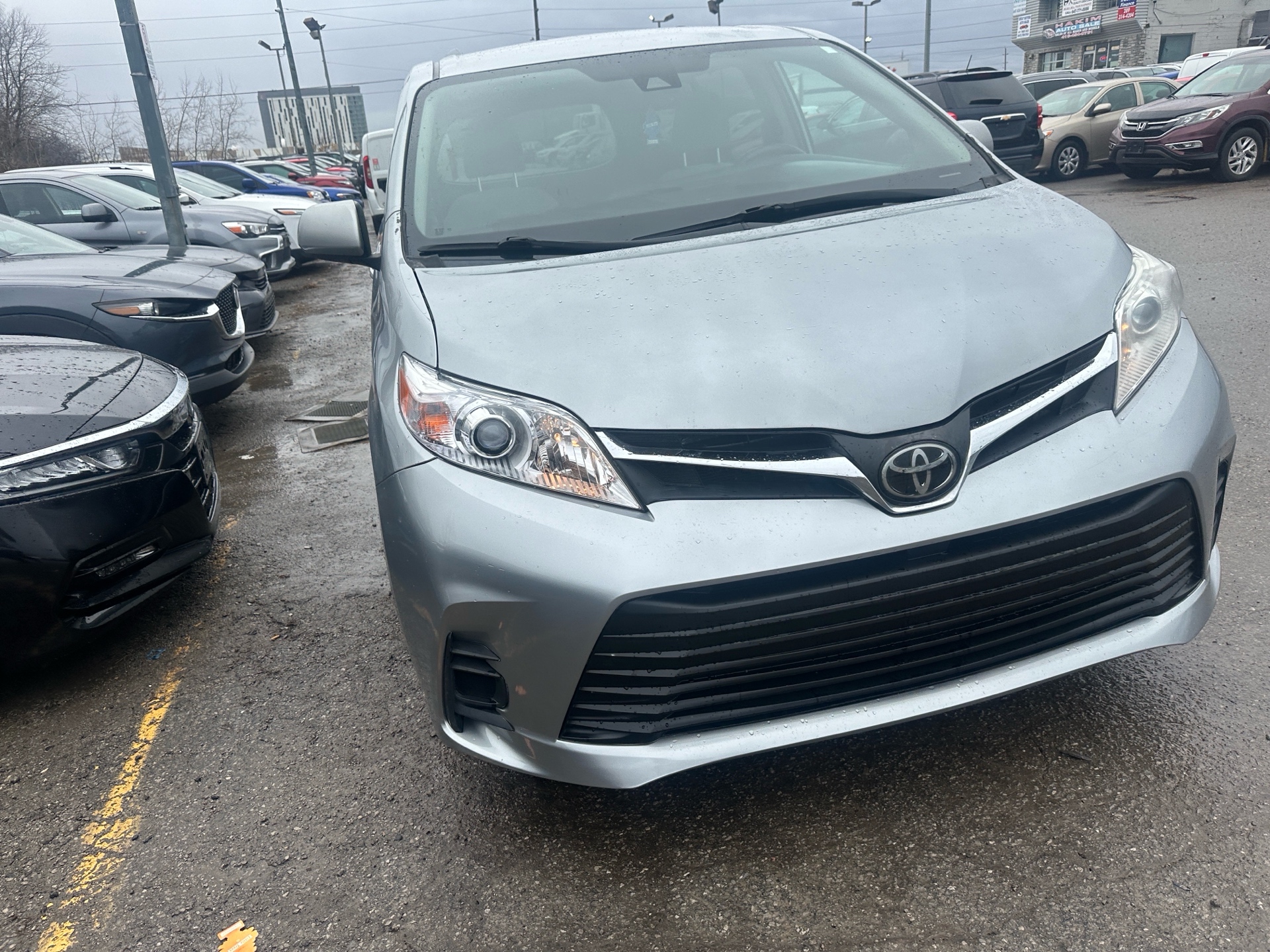 /hakimautosale/2019-Toyota-Sienna-6569412453969721.jpg