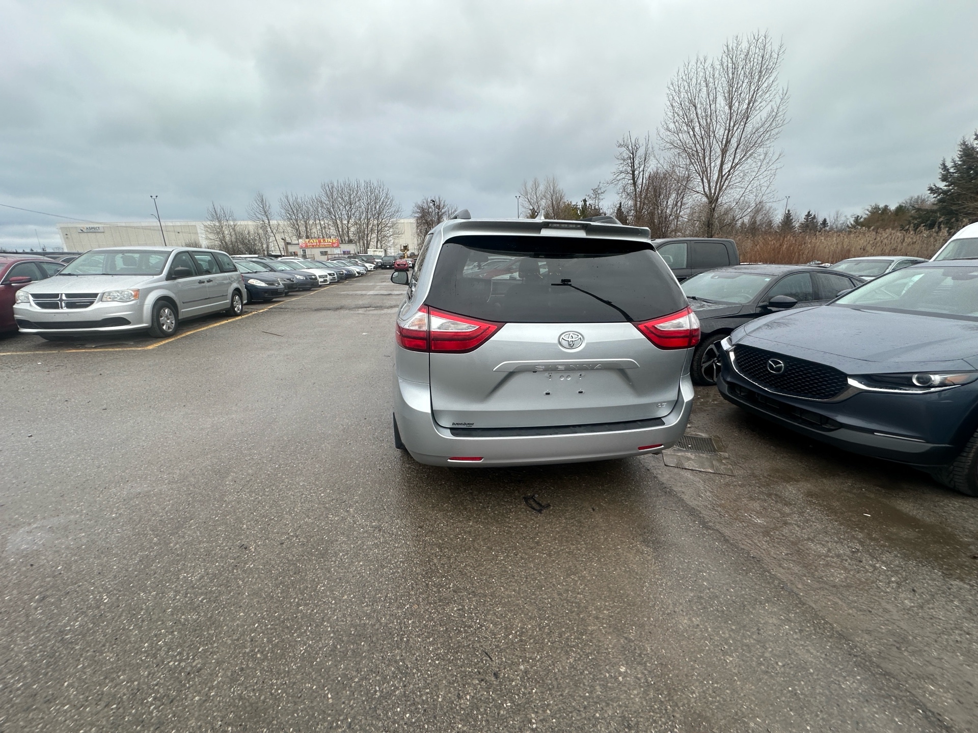 /hakimautosale/2019-Toyota-Sienna-779072218303871.jpg