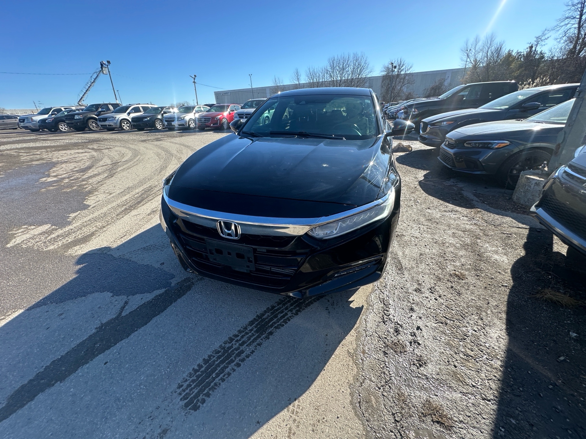 /hakimautosale/2020-Honda-Accord-7114778781430524.jpg
