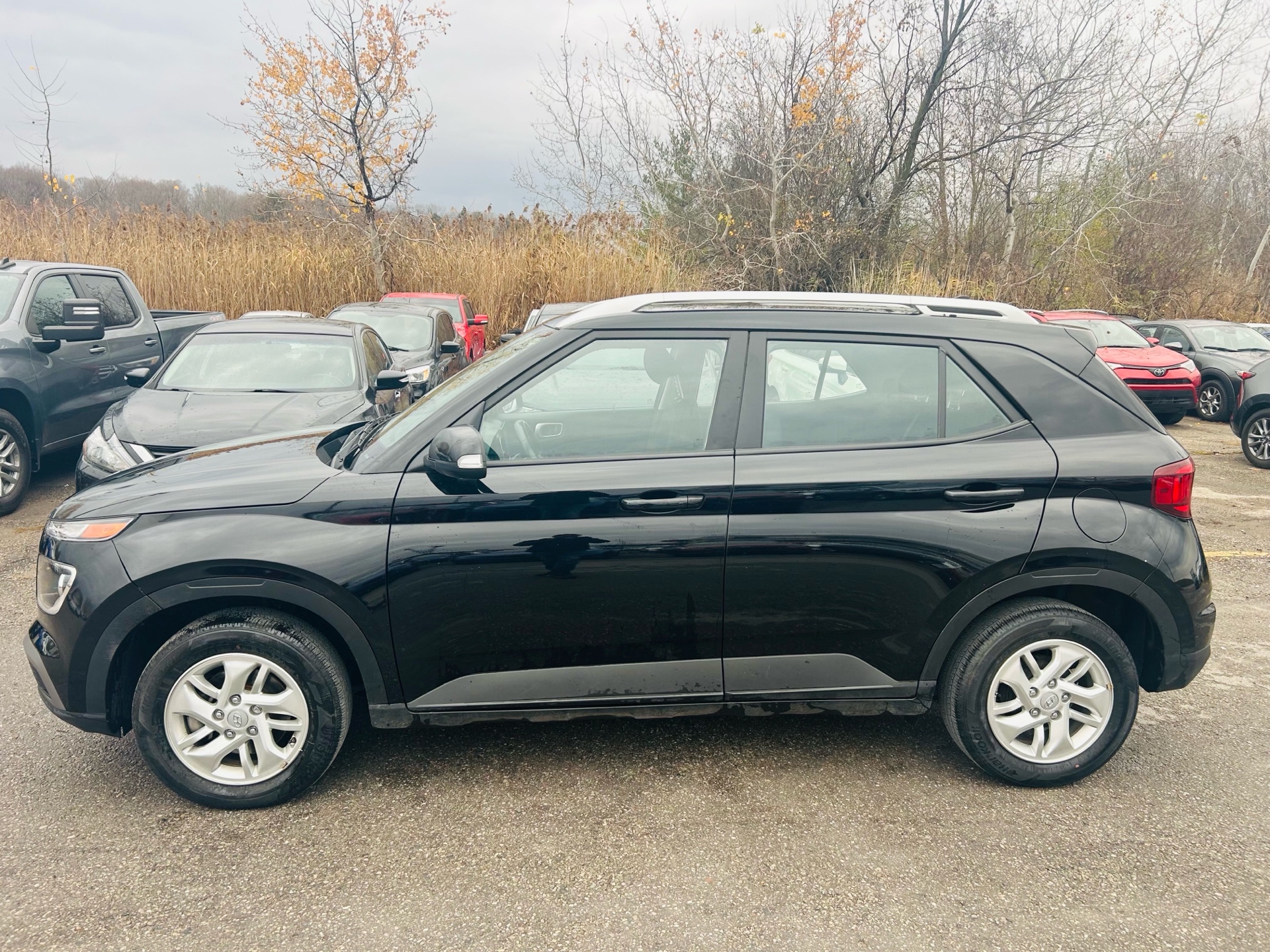 /hakimautosale/2020-Hyundai-Venue-4394425597739289.jpg
