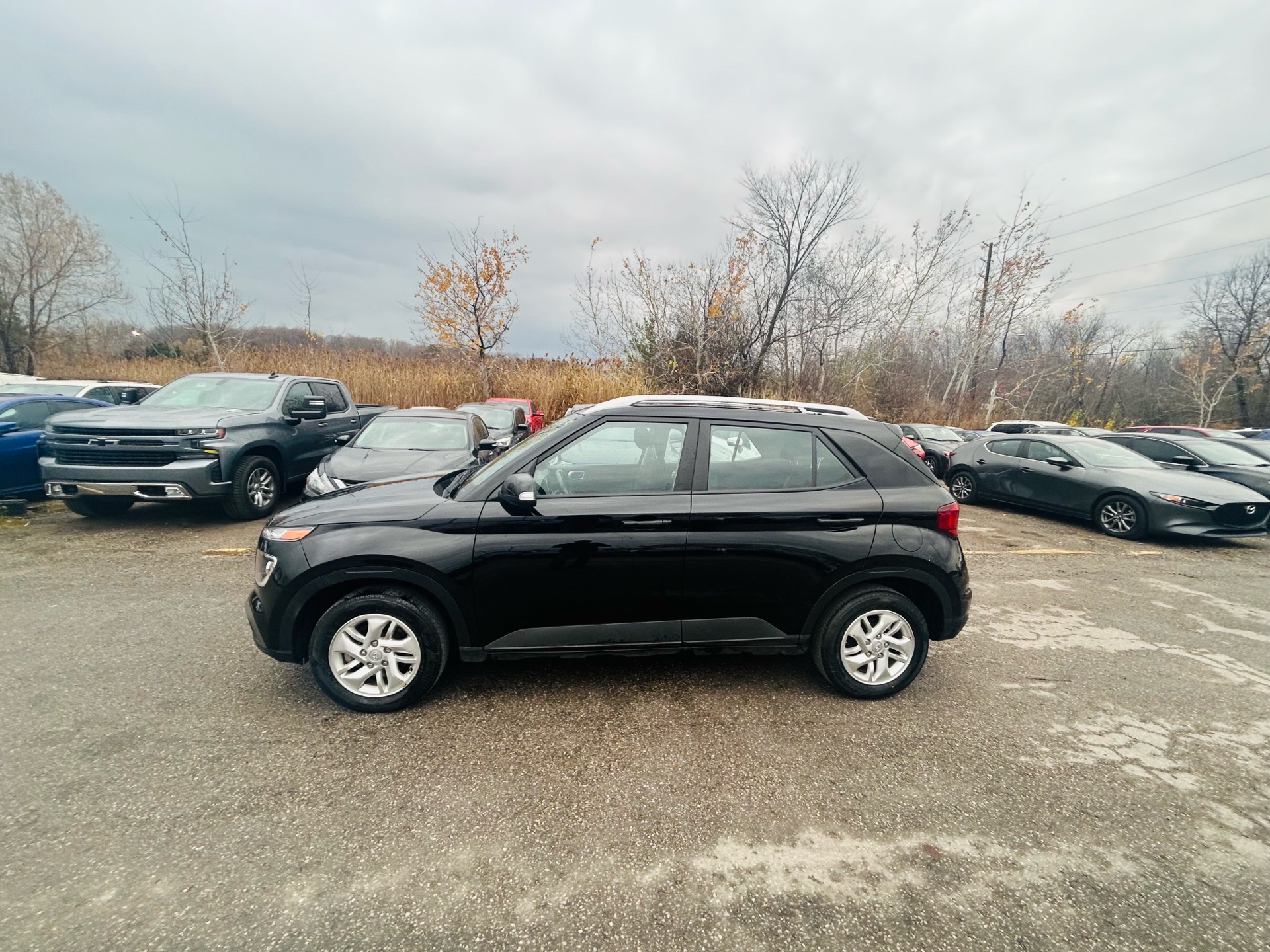 /hakimautosale/2020-Hyundai-Venue-5014782029987379.jpg