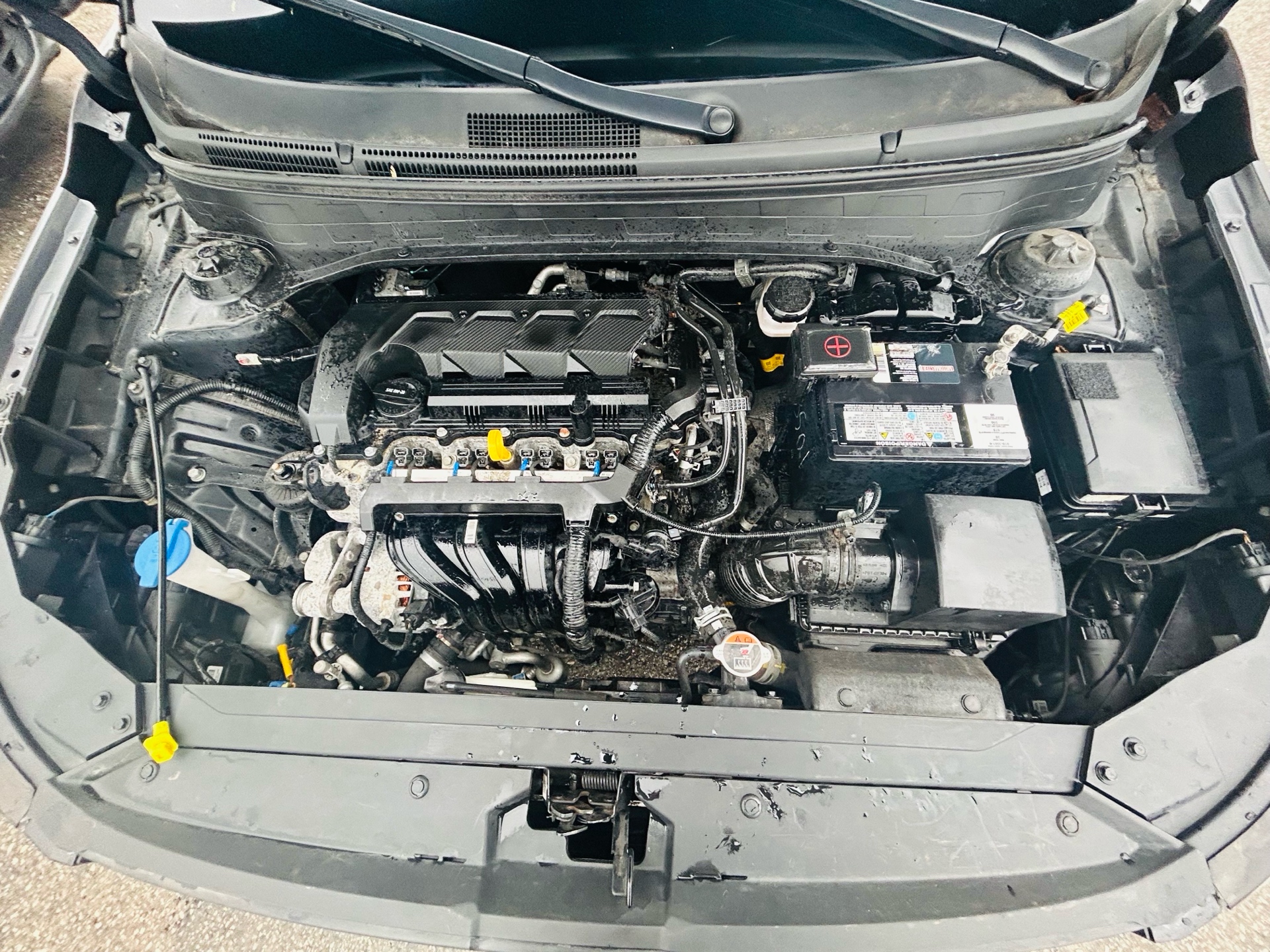 /hakimautosale/2020-Hyundai-Venue-7712895856099022.jpg