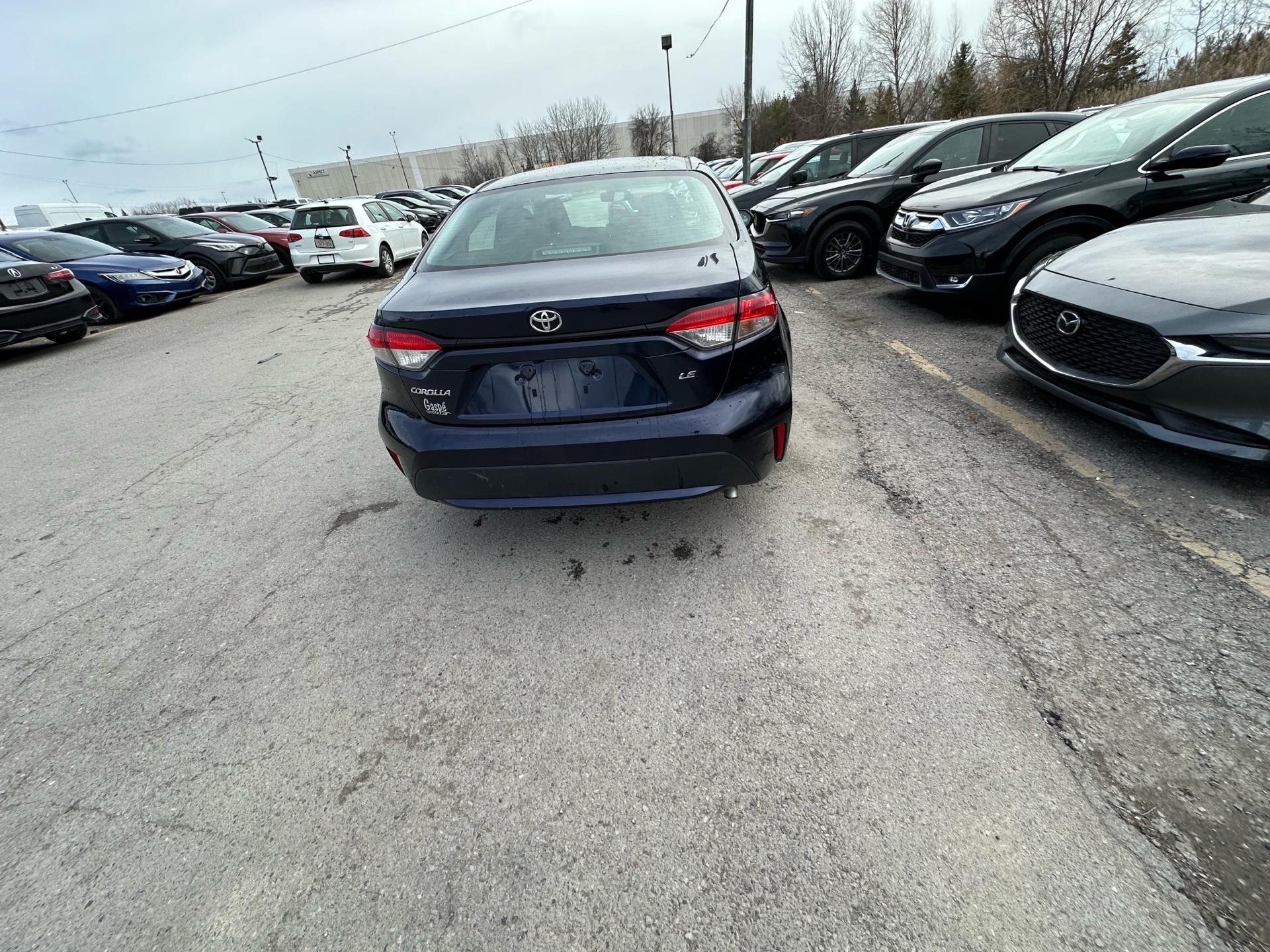 /hakimautosale/2020-Toyota-Corolla-23793249620017276.jpg