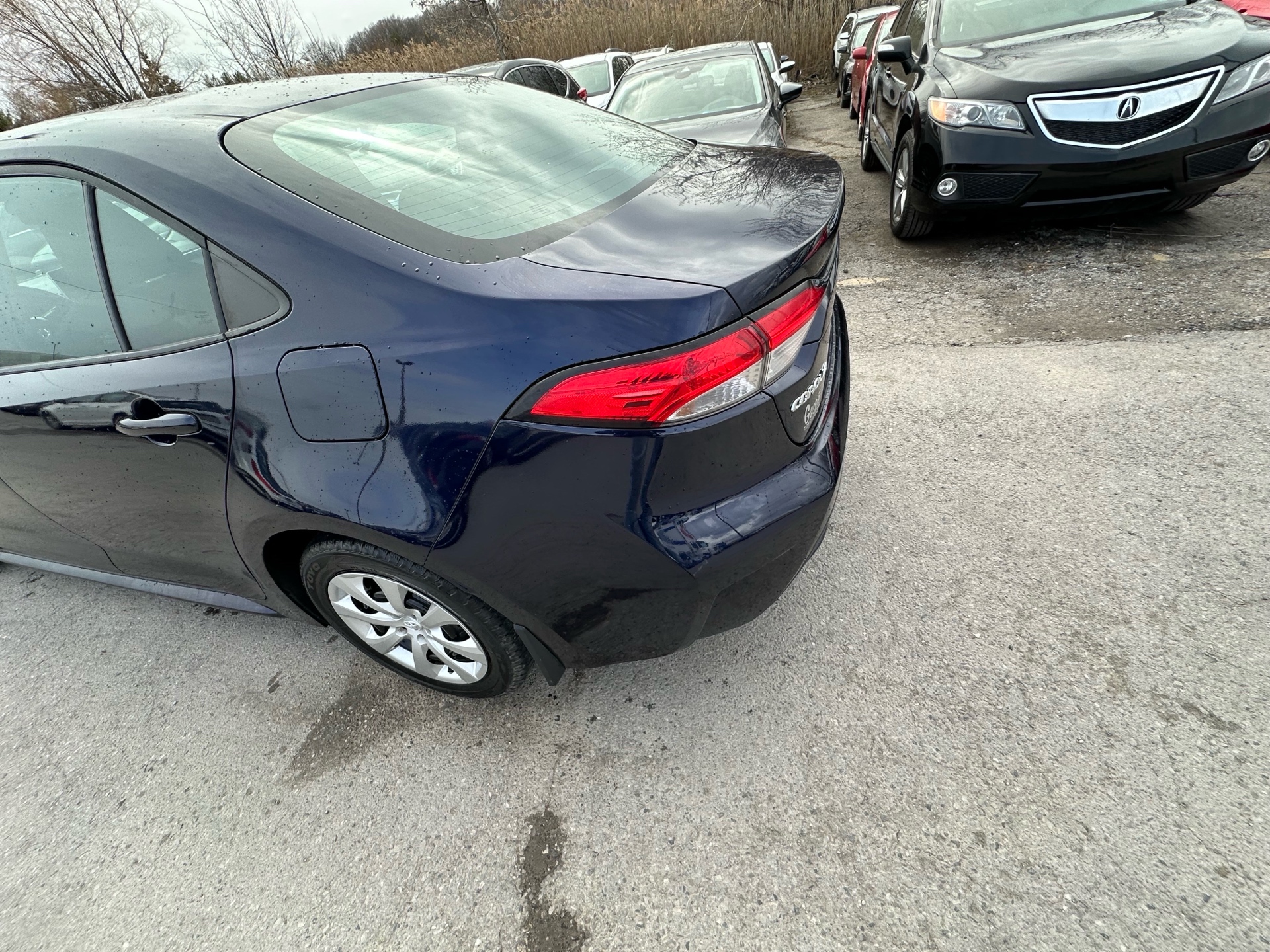 /hakimautosale/2020-Toyota-Corolla-34521536070986913.jpg