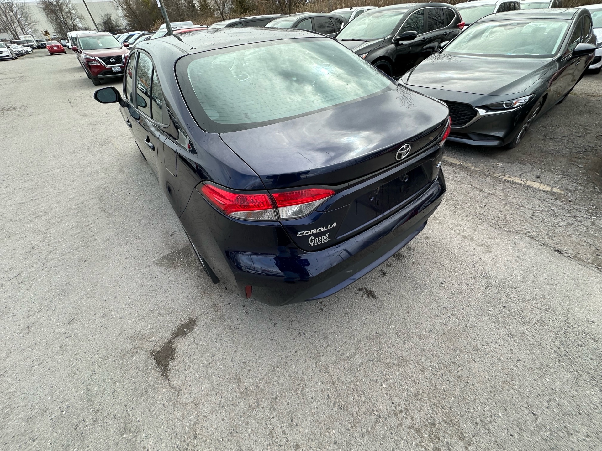 /hakimautosale/2020-Toyota-Corolla-4580655069733186.jpg