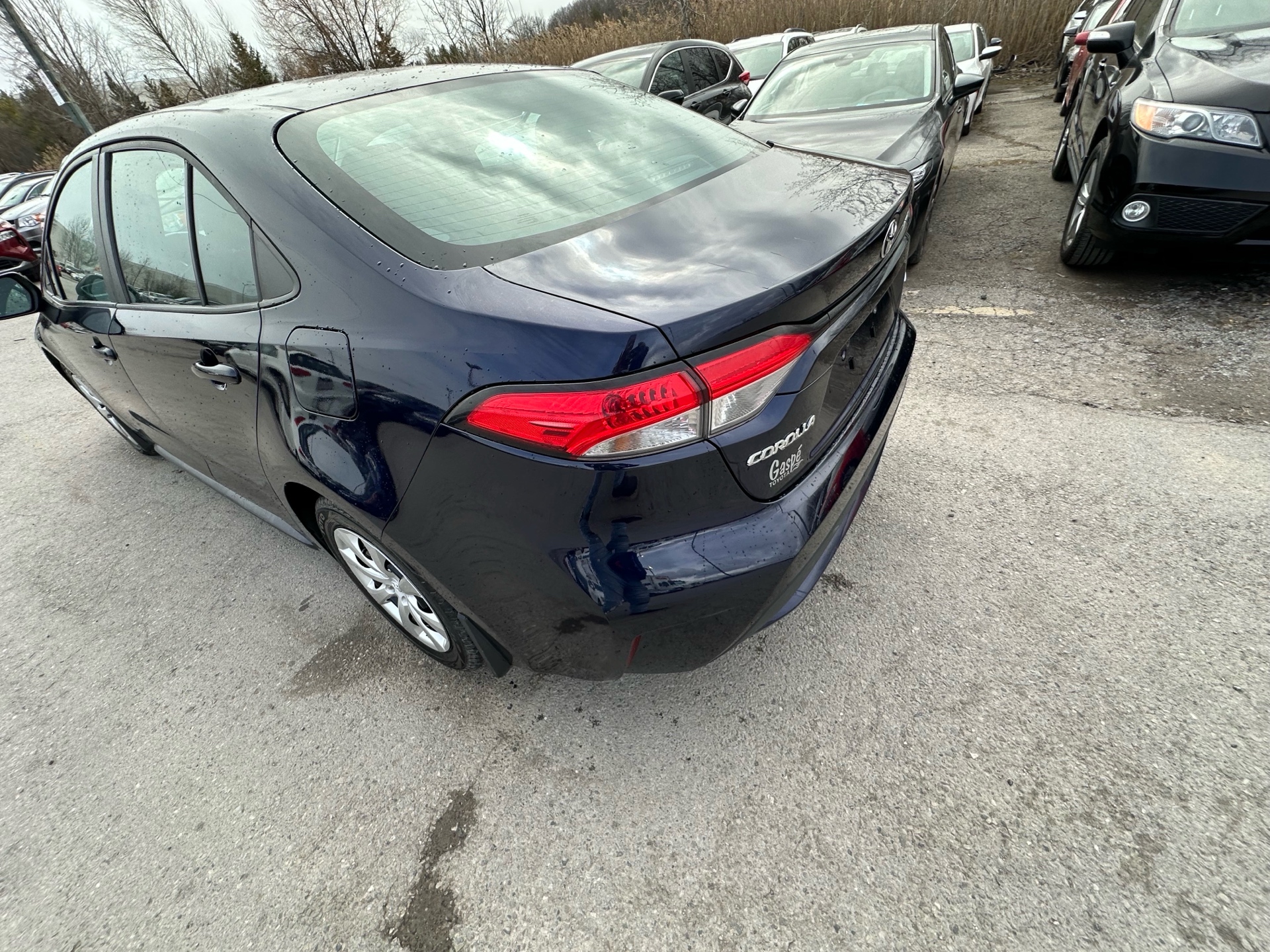 /hakimautosale/2020-Toyota-Corolla-5749015034170957.jpg