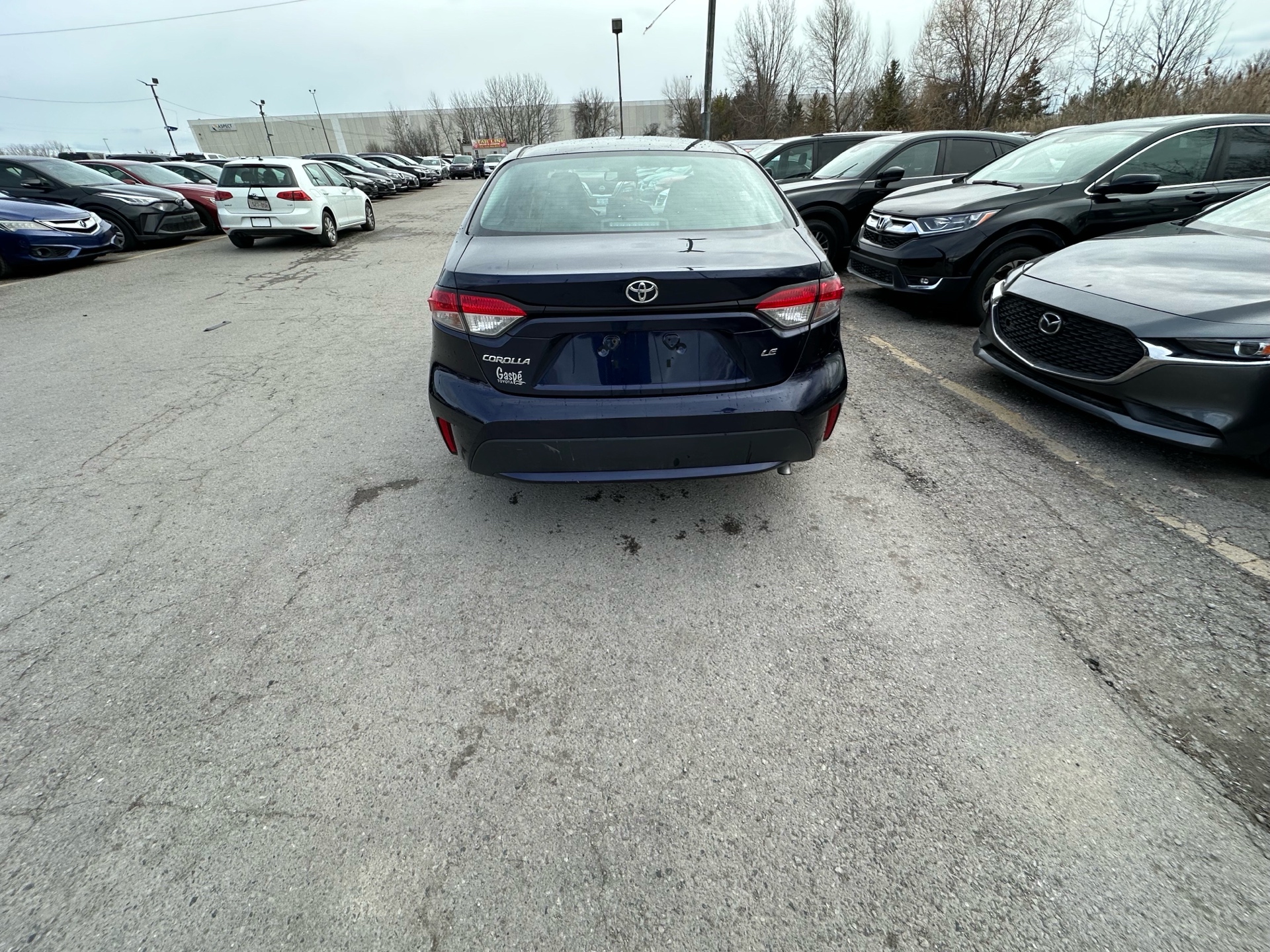 /hakimautosale/2020-Toyota-Corolla-7125682600182053.jpg