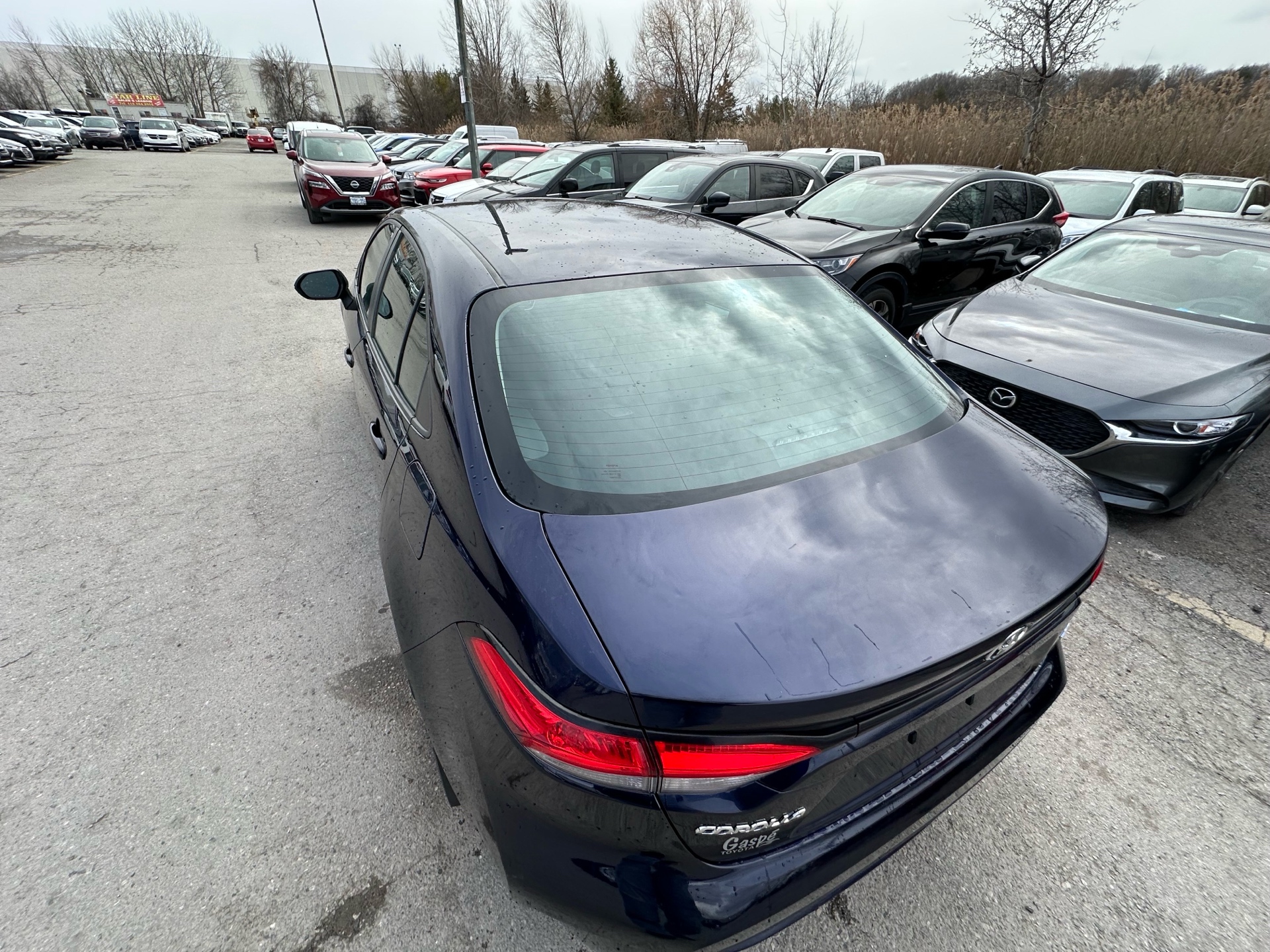 /hakimautosale/2020-Toyota-Corolla-7506985667250234.jpg