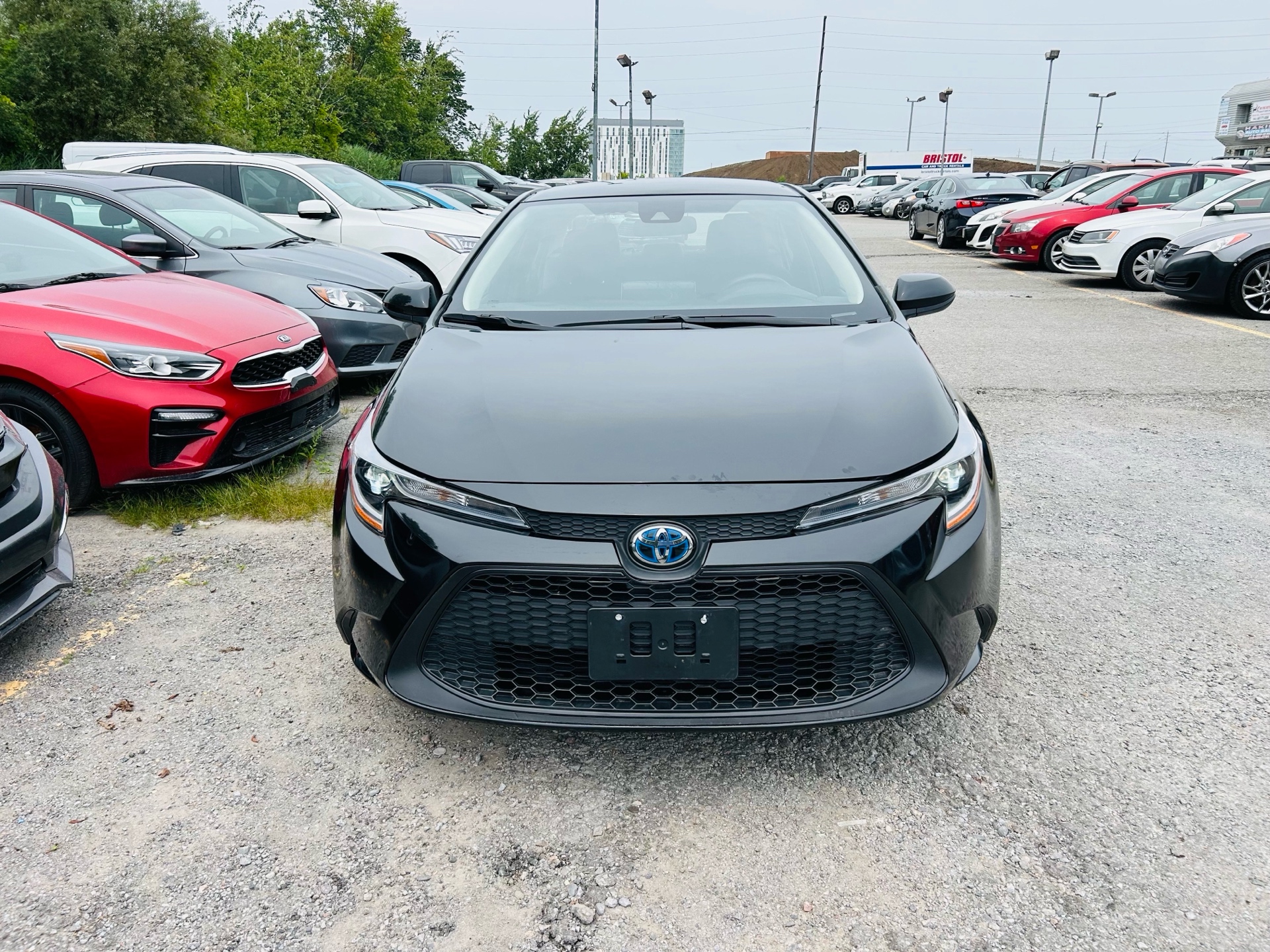 /hakimautosale/2021-Toyota-Corolla-13662718552647468.jpg