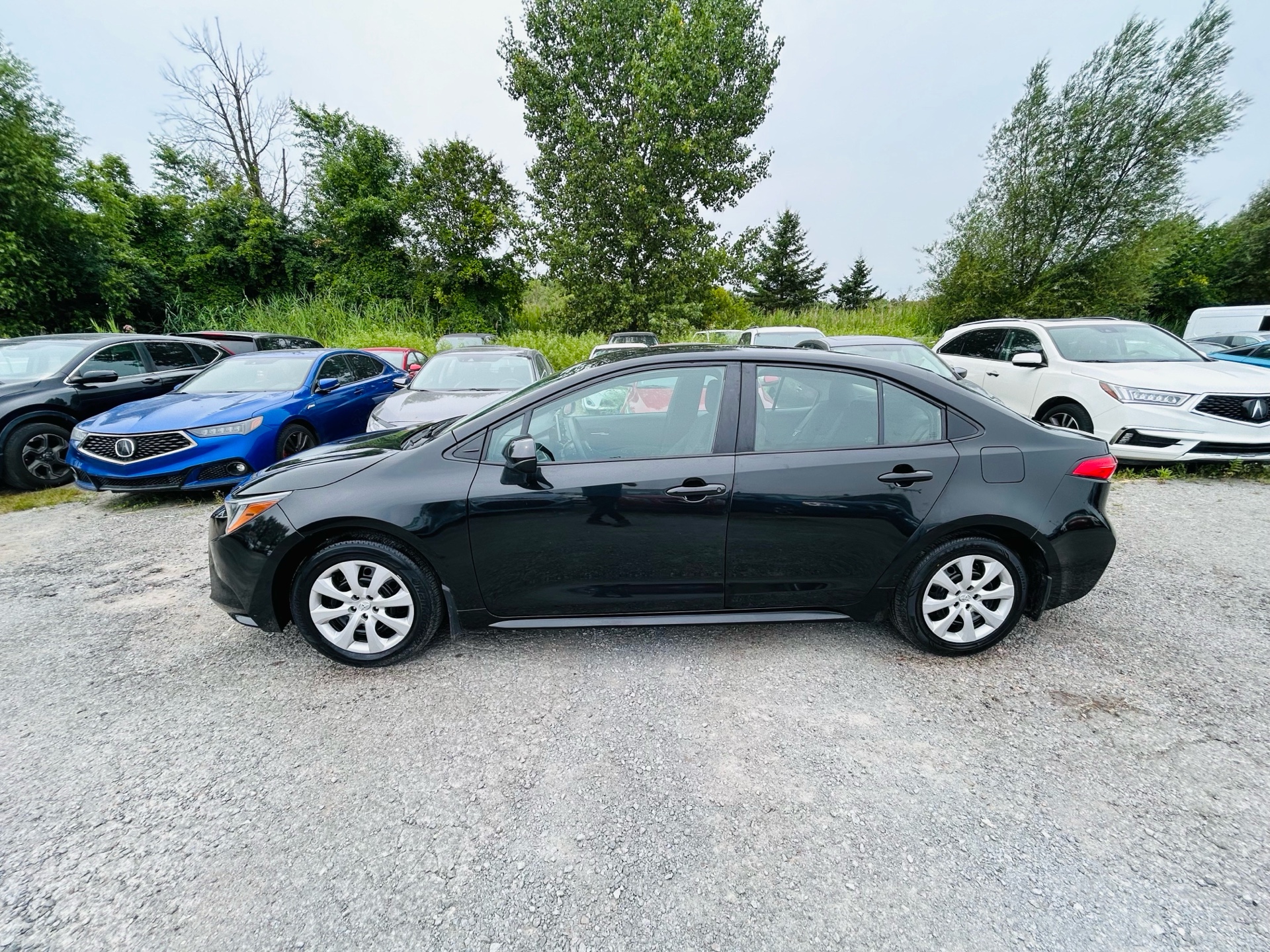 /hakimautosale/2021-Toyota-Corolla-16006794373344535.jpg
