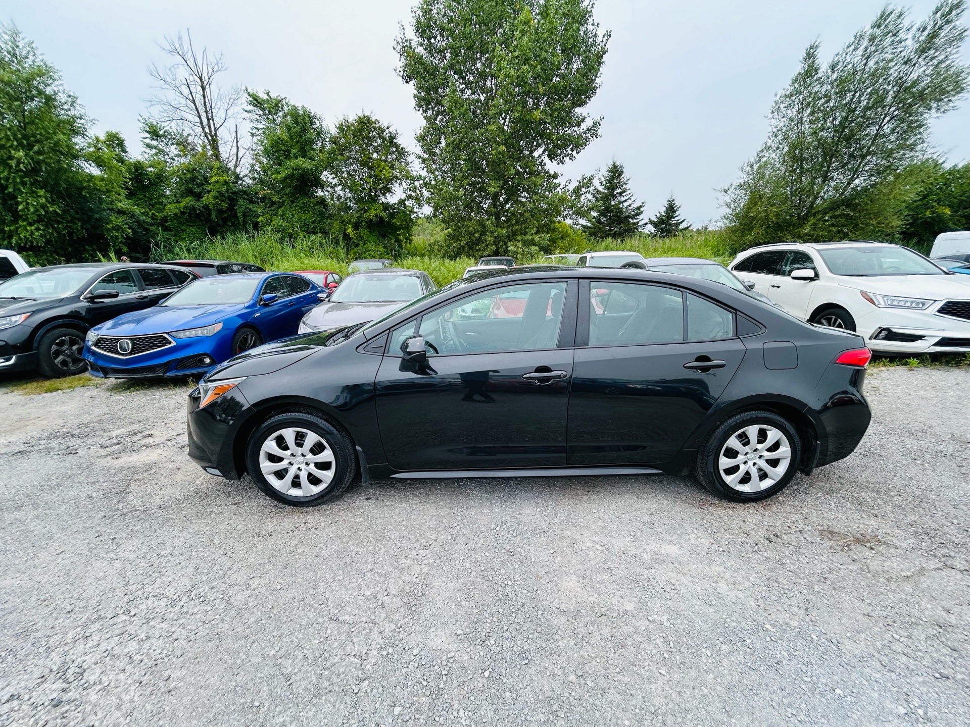 /hakimautosale/2021-Toyota-Corolla-6808777703293472.jpg