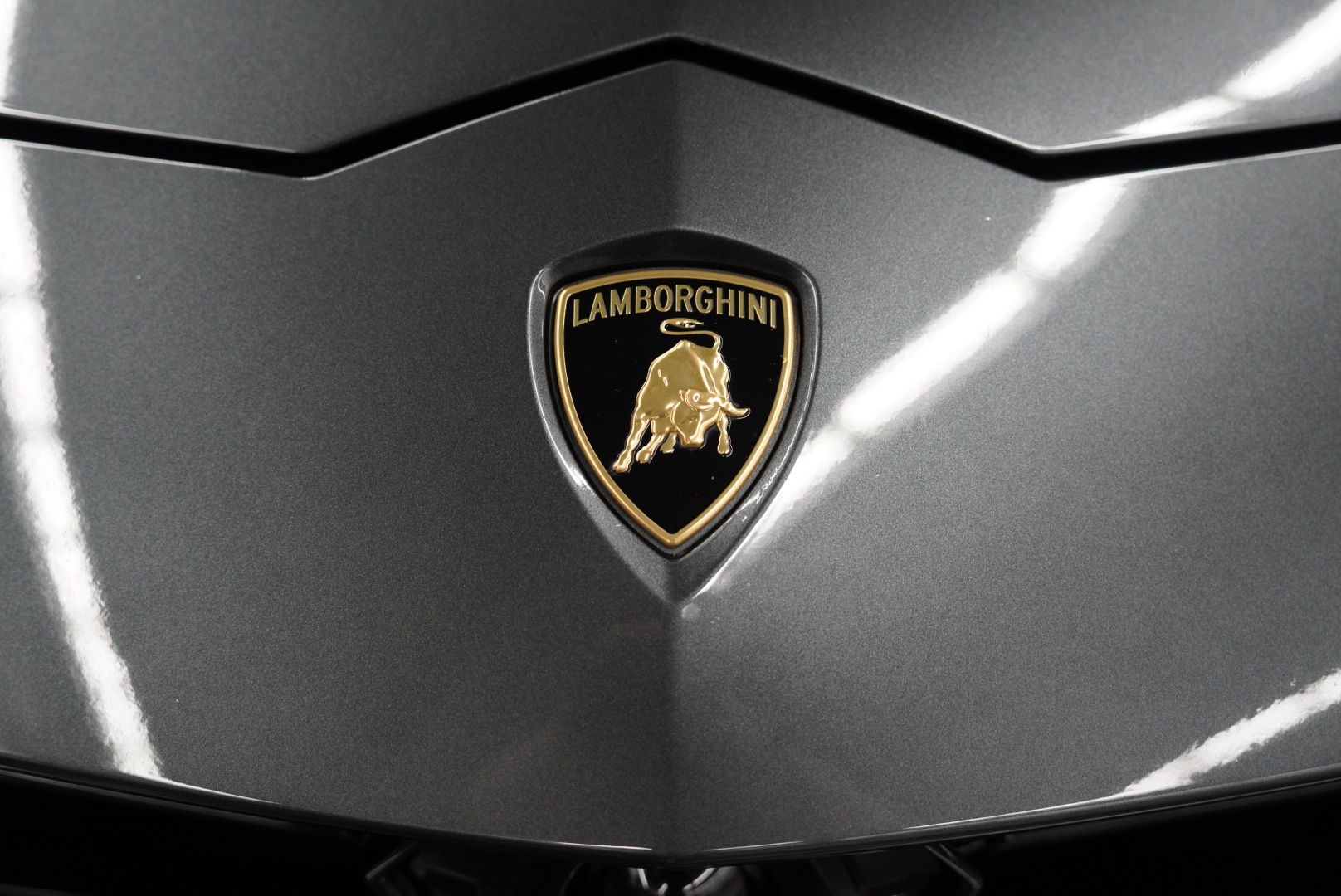 /hcwenterprisecorporation/2019-Lamborghini-Urus-6416231441950977.jpg