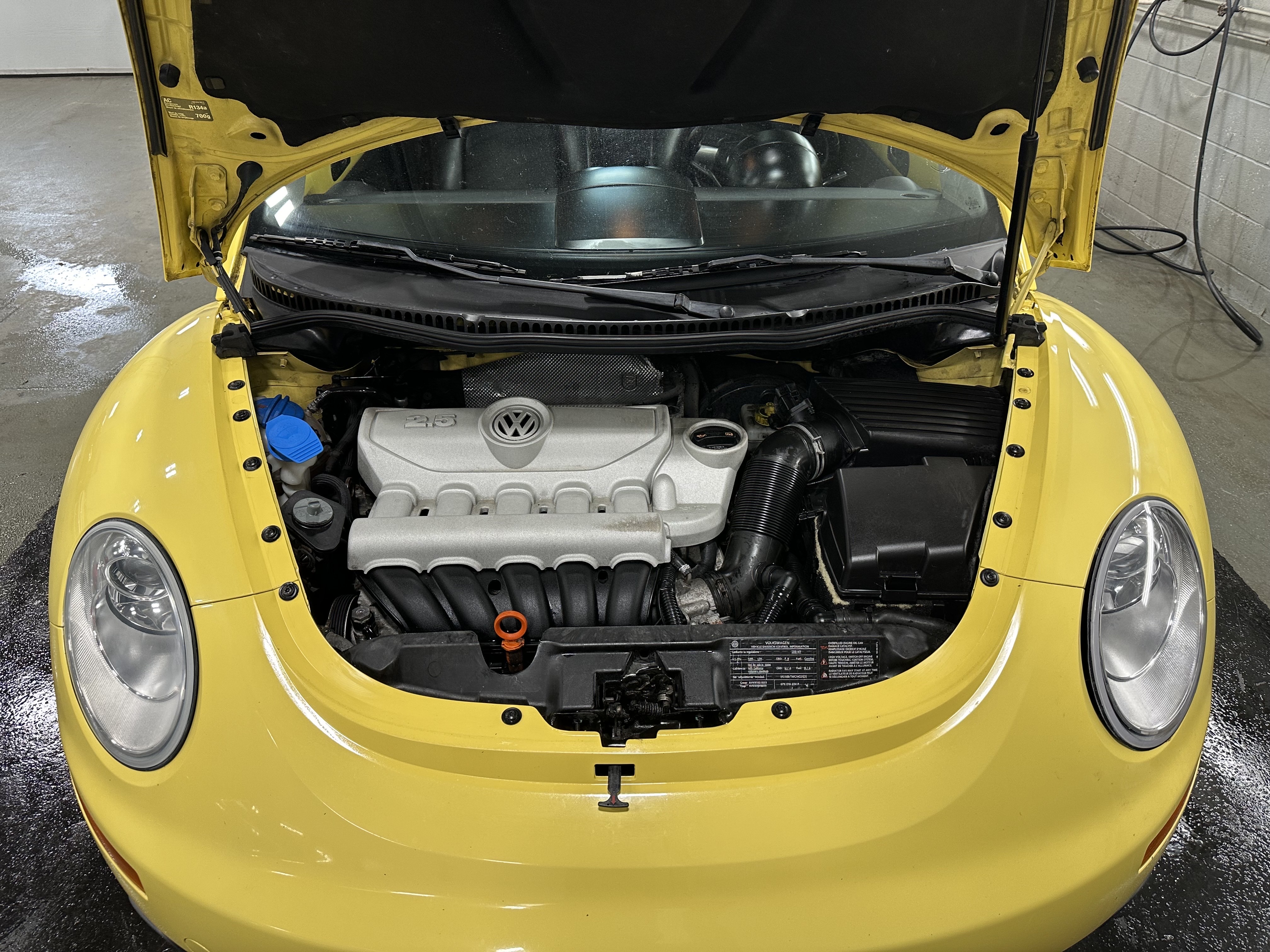 /houseofcars/2010-Volkswagen-NewBeetle-6581171876142007.jpg