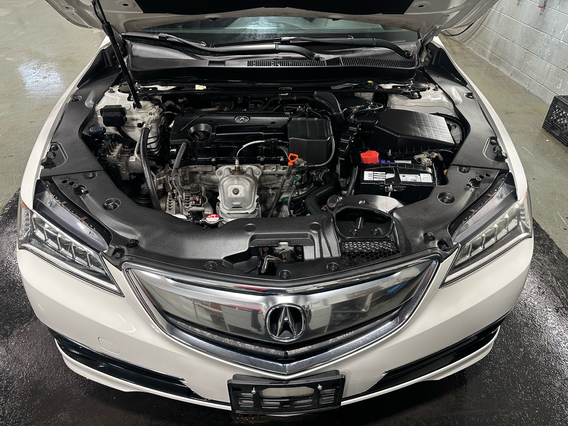 /houseofcars/2016-Acura-TLX-862279575186091.jpg