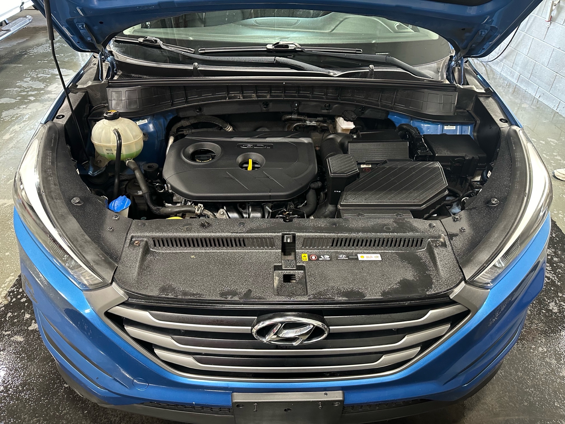 /houseofcars/2017-Hyundai-Tucson-544773719586322.jpg