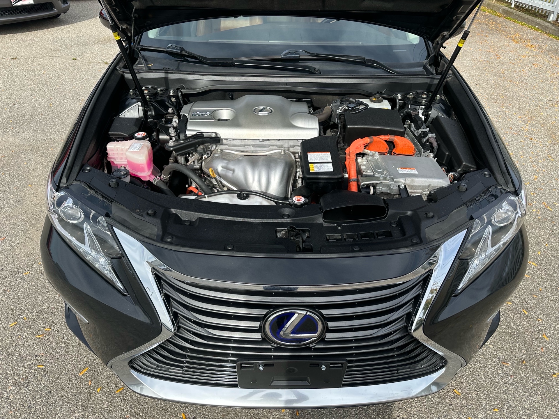 /houseofcars/2018-Lexus-ES-10778304255412507.jpg