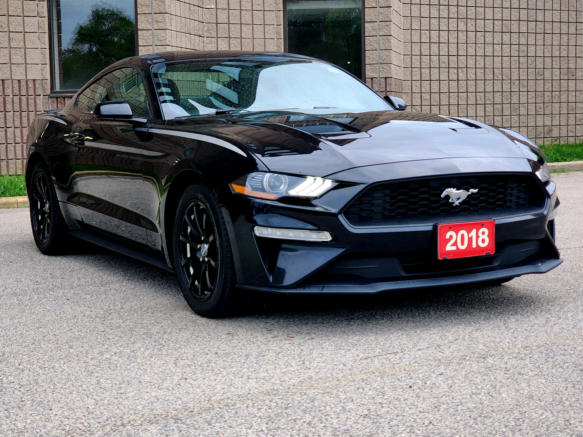 special-car