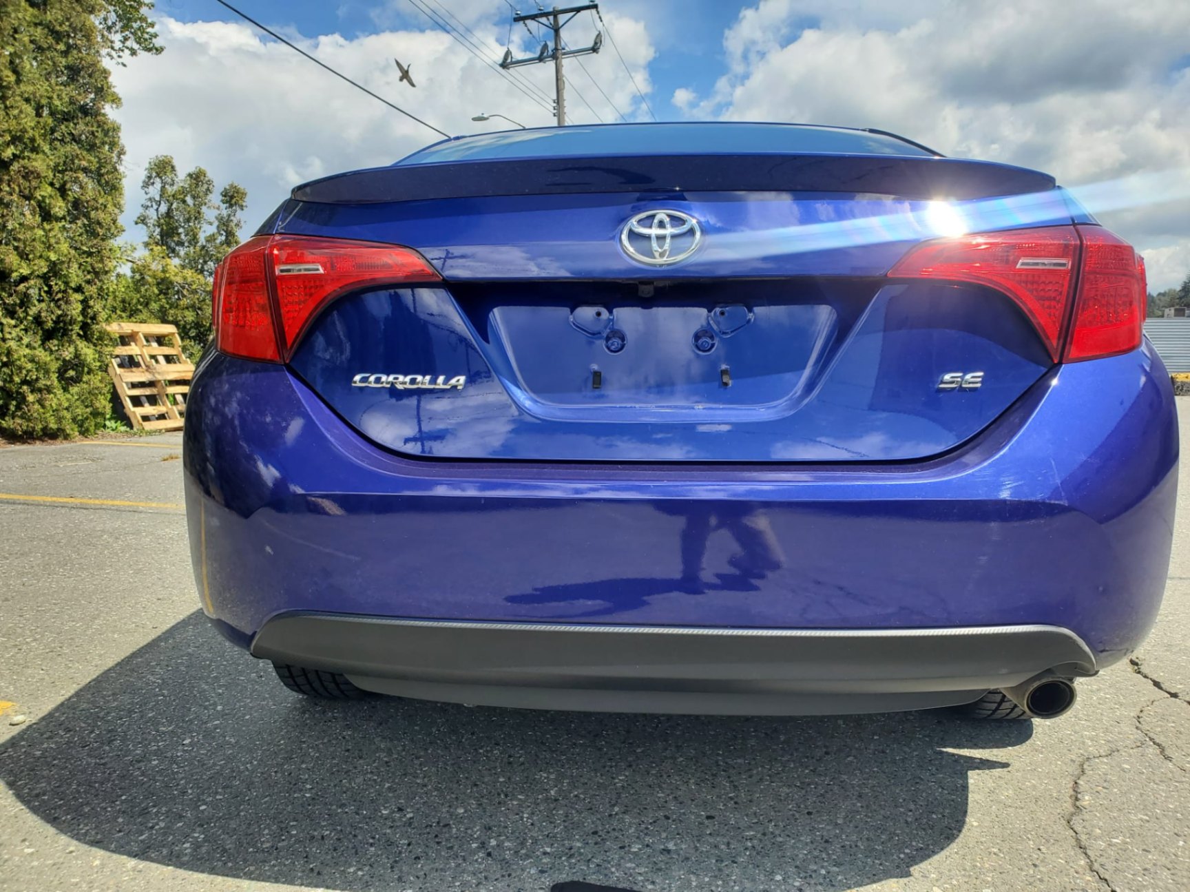 /joemotorltd1/2019-Toyota-Corolla-9036520955109206.jpg