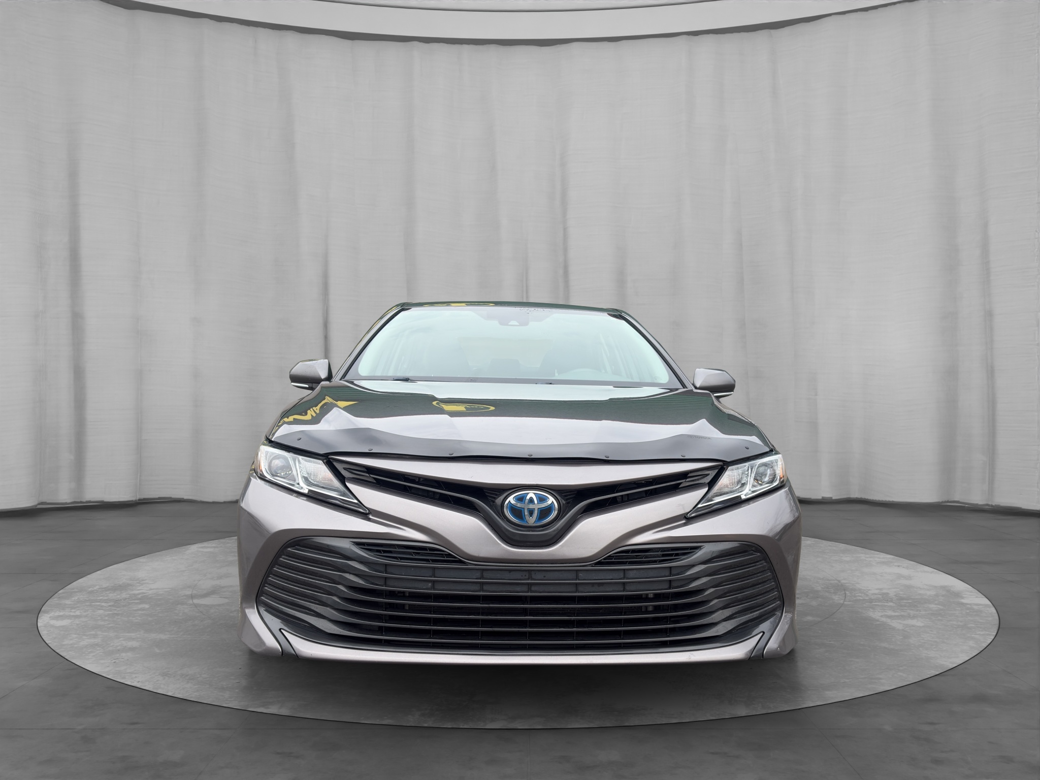 /kingsautoltd/2019-Toyota-Camry-6552878176072916.jpg