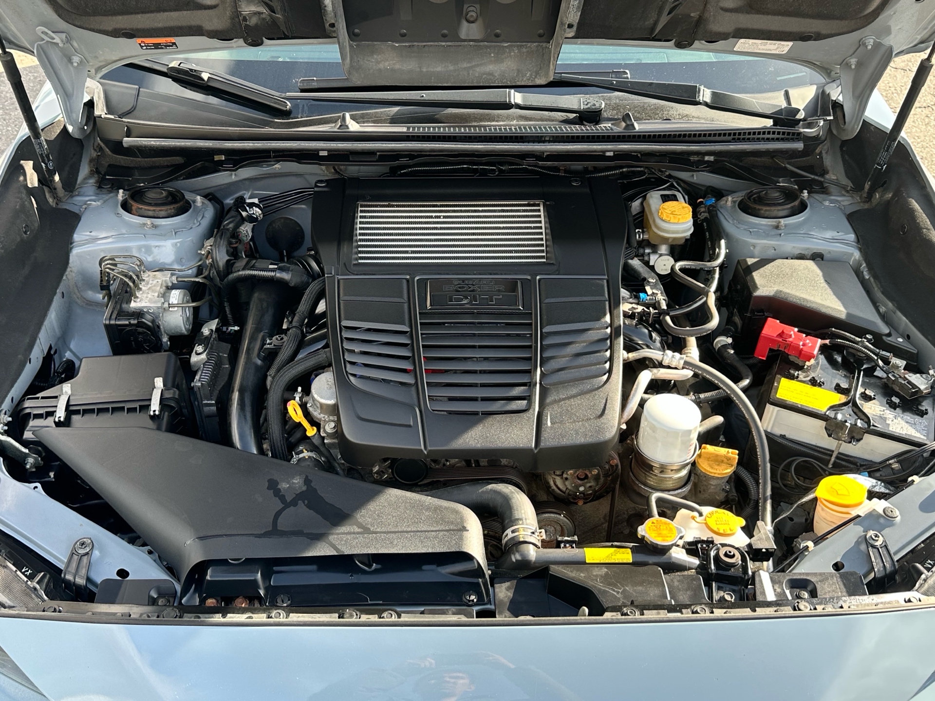 /klautosales/2019-Subaru-WRX-7463504013452318.jpg