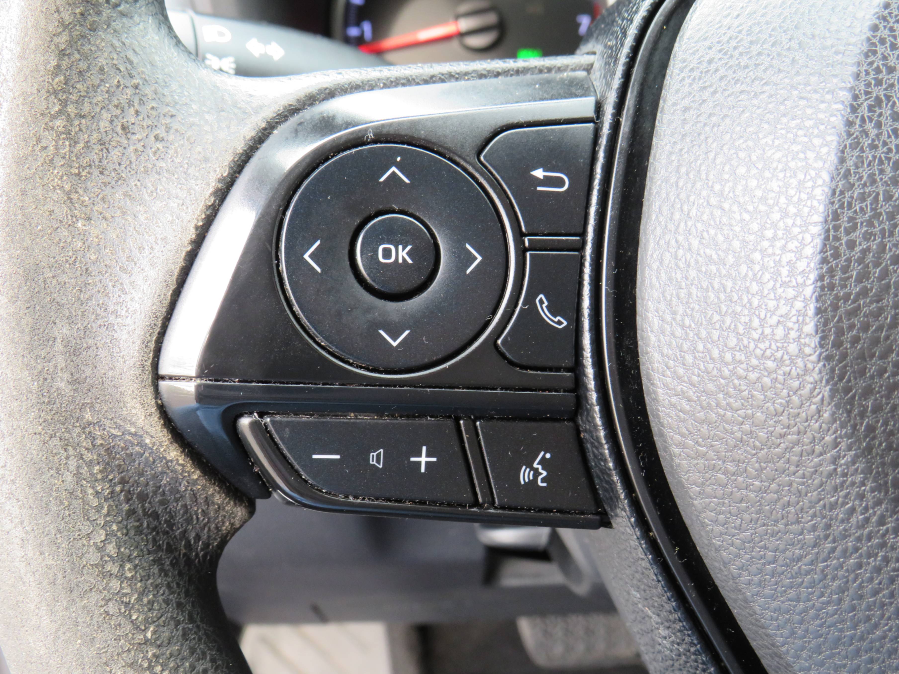 /laautomotive/2019-Toyota-RAV4-8846114054707486.jpg