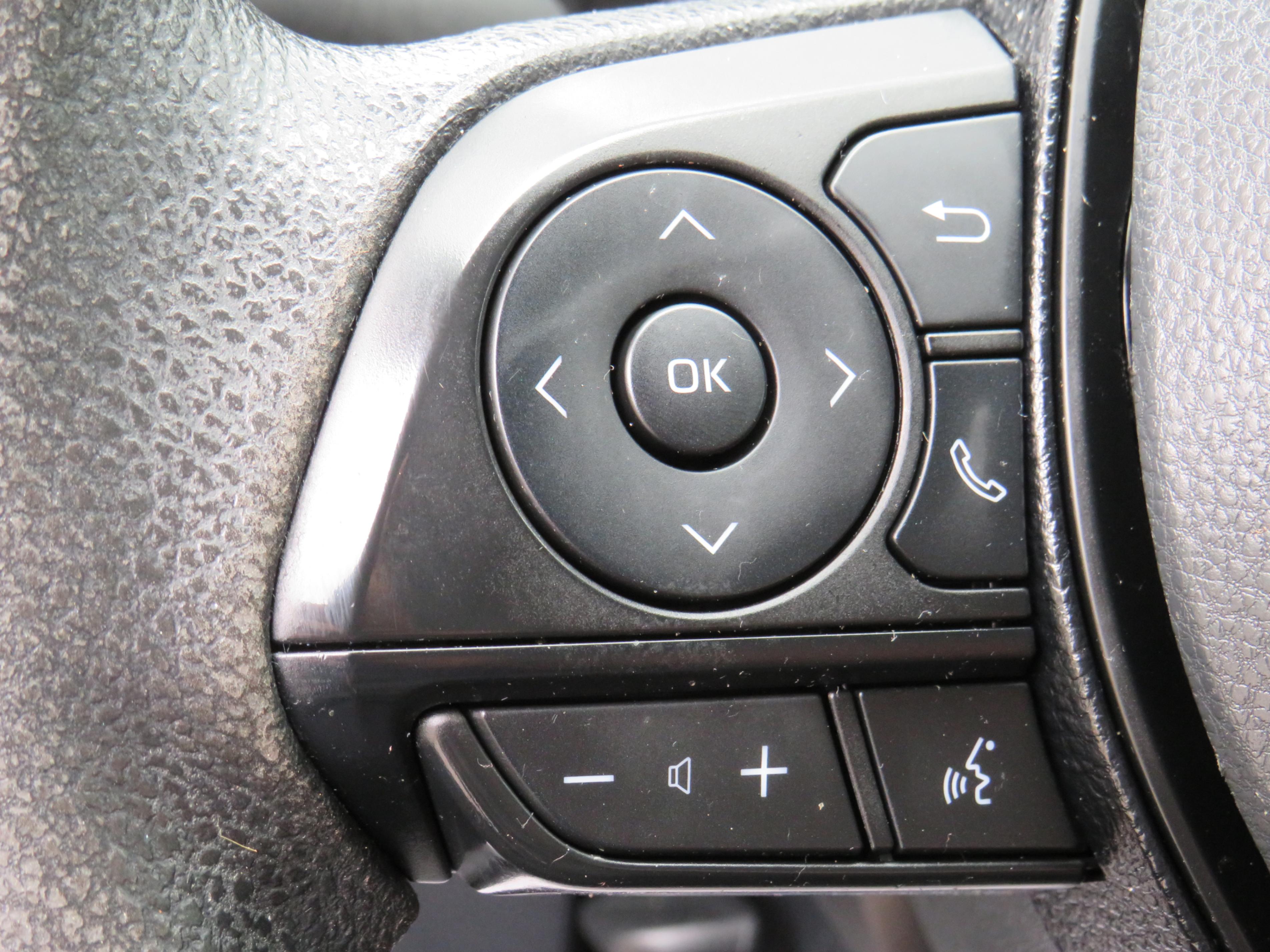 /laautomotive/2020-Toyota-RAV4-8742156250744744.jpg