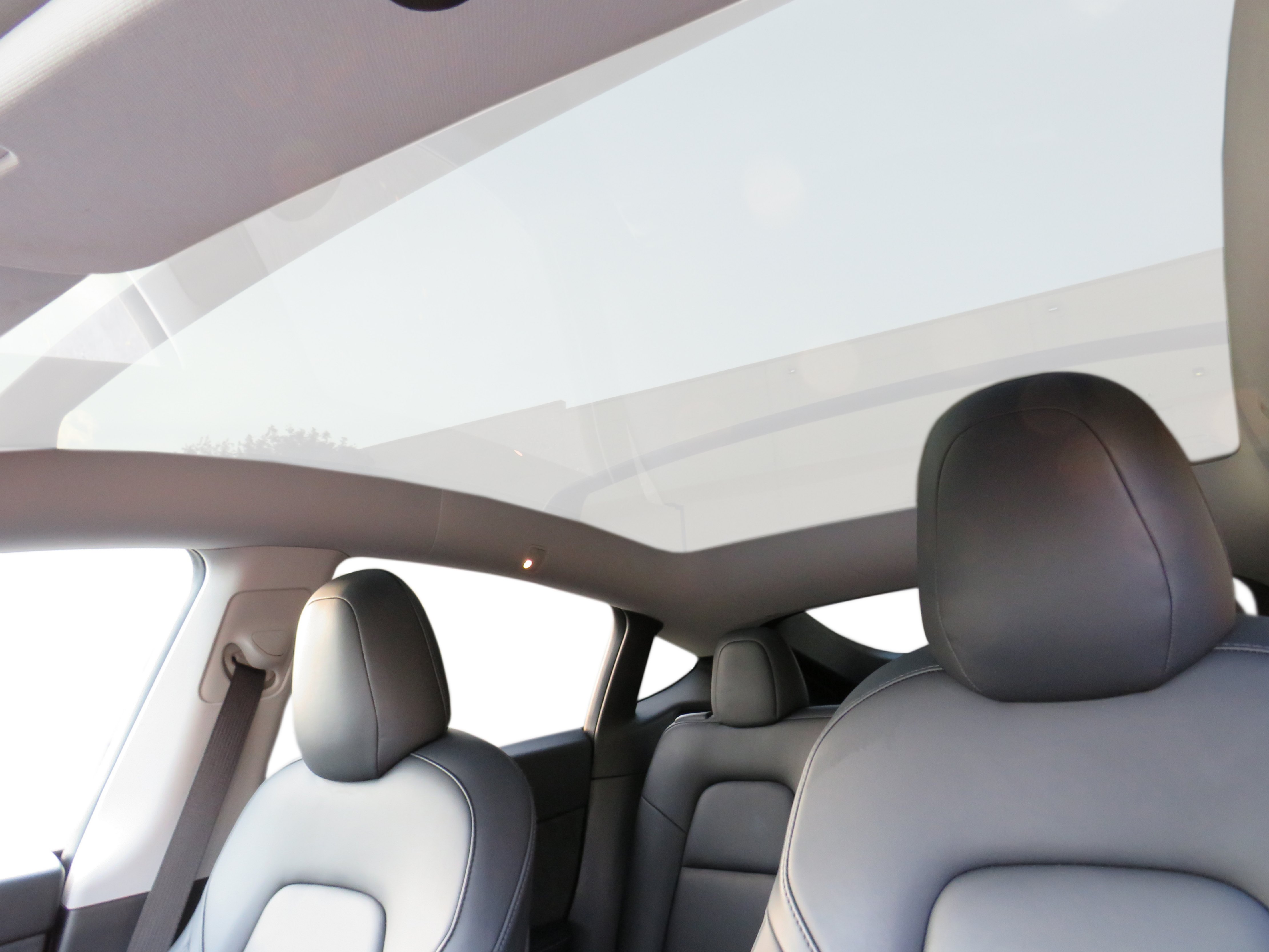 /laautomotive/2021-Tesla-ModelY-4494234814191138.jpg