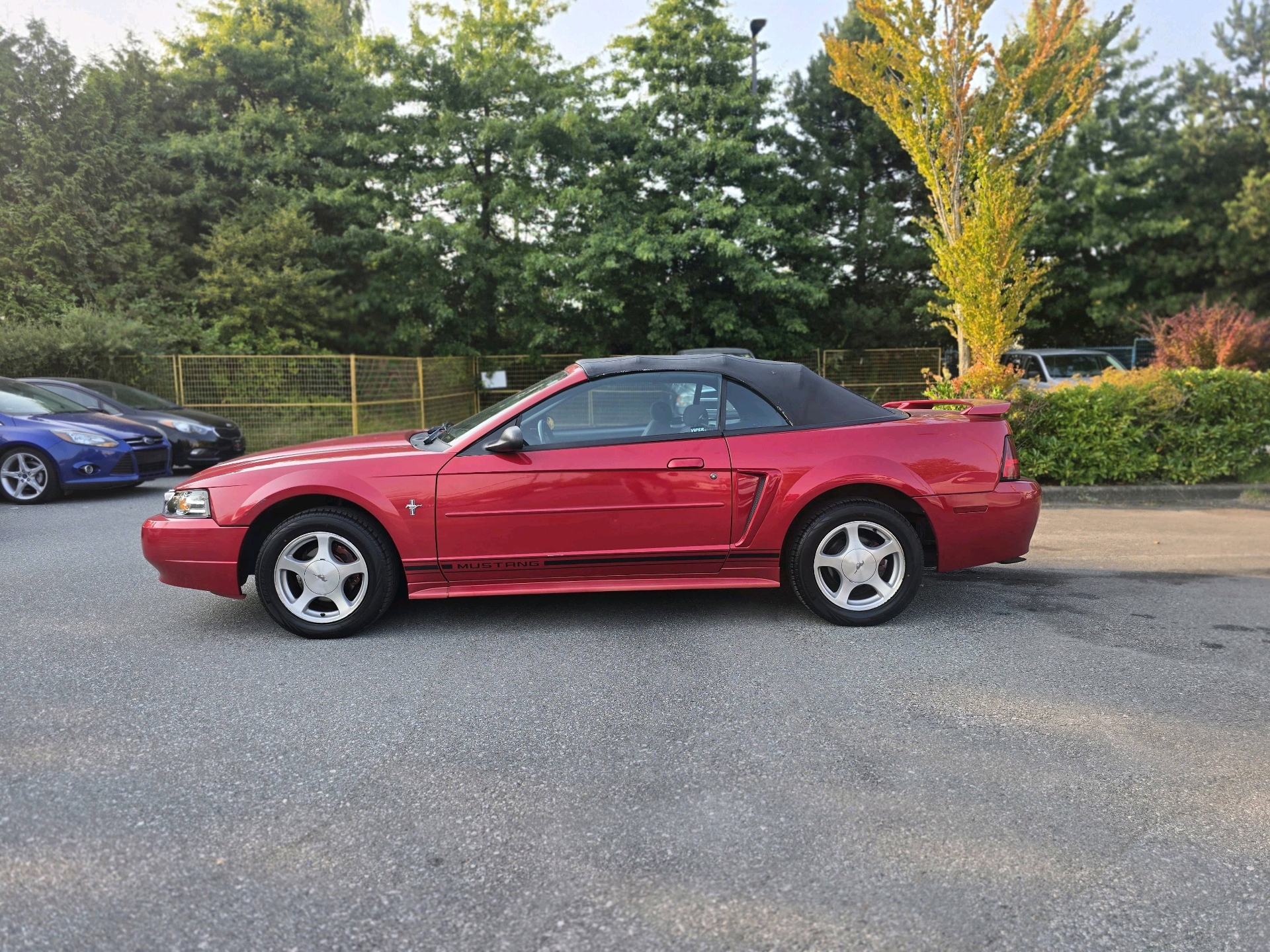 /moryaautosltd/2001-Ford-Mustang-2624652833403158.jpg