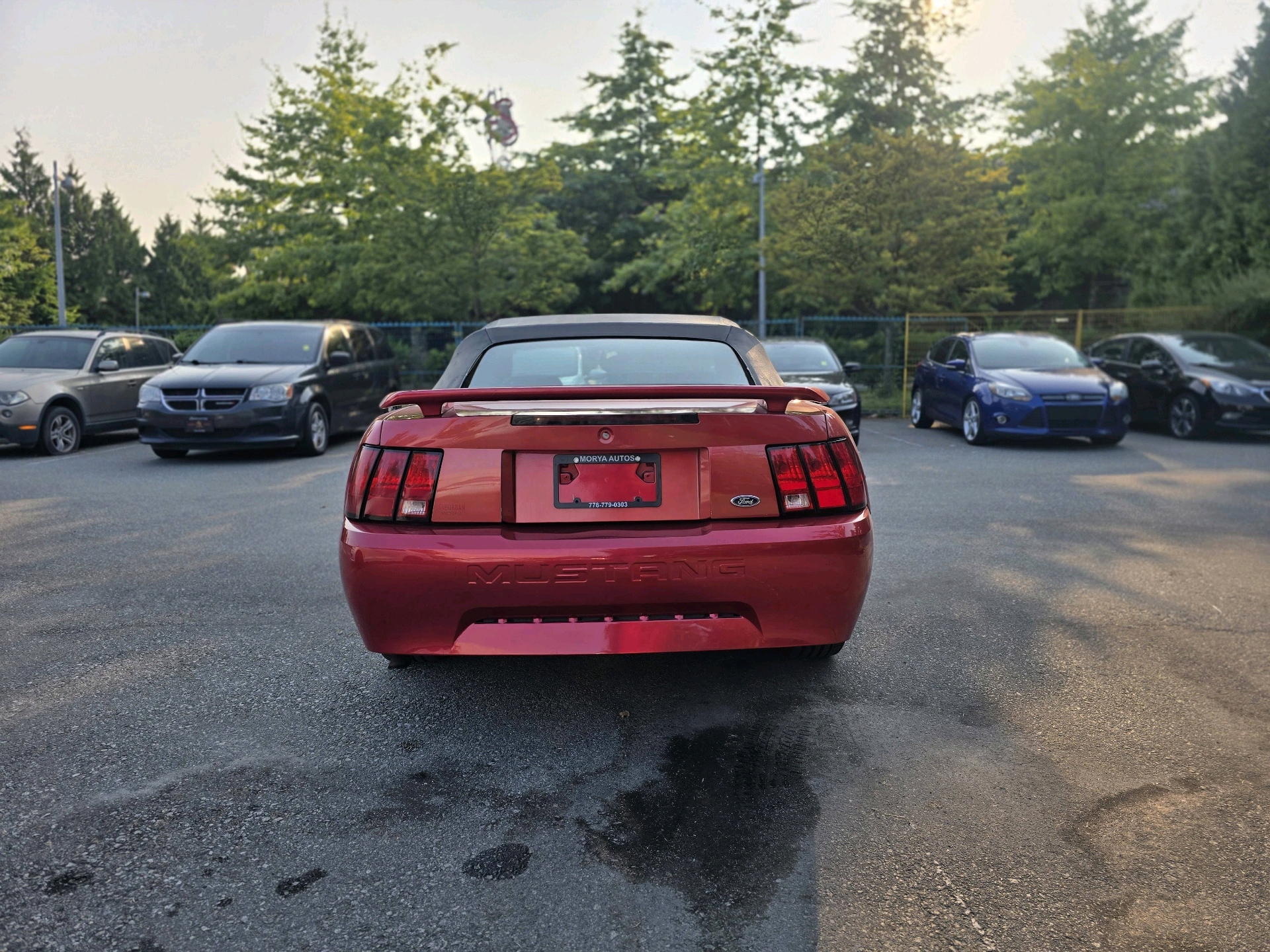 /moryaautosltd/2001-Ford-Mustang-839677041281679.jpg