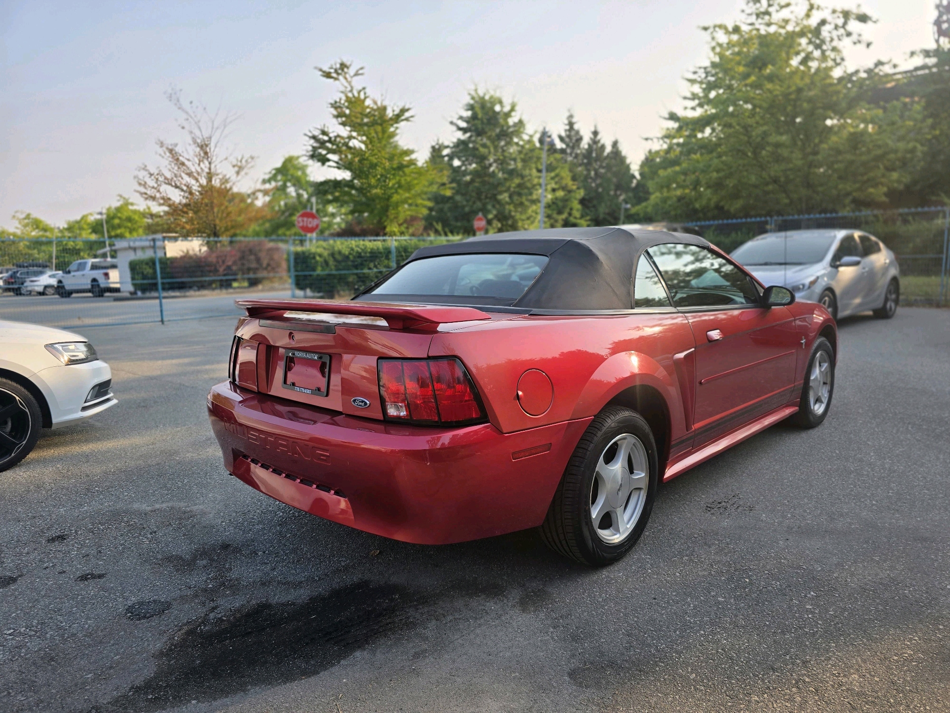 /moryaautosltd/2001-Ford-Mustang-8576537360036727.jpg
