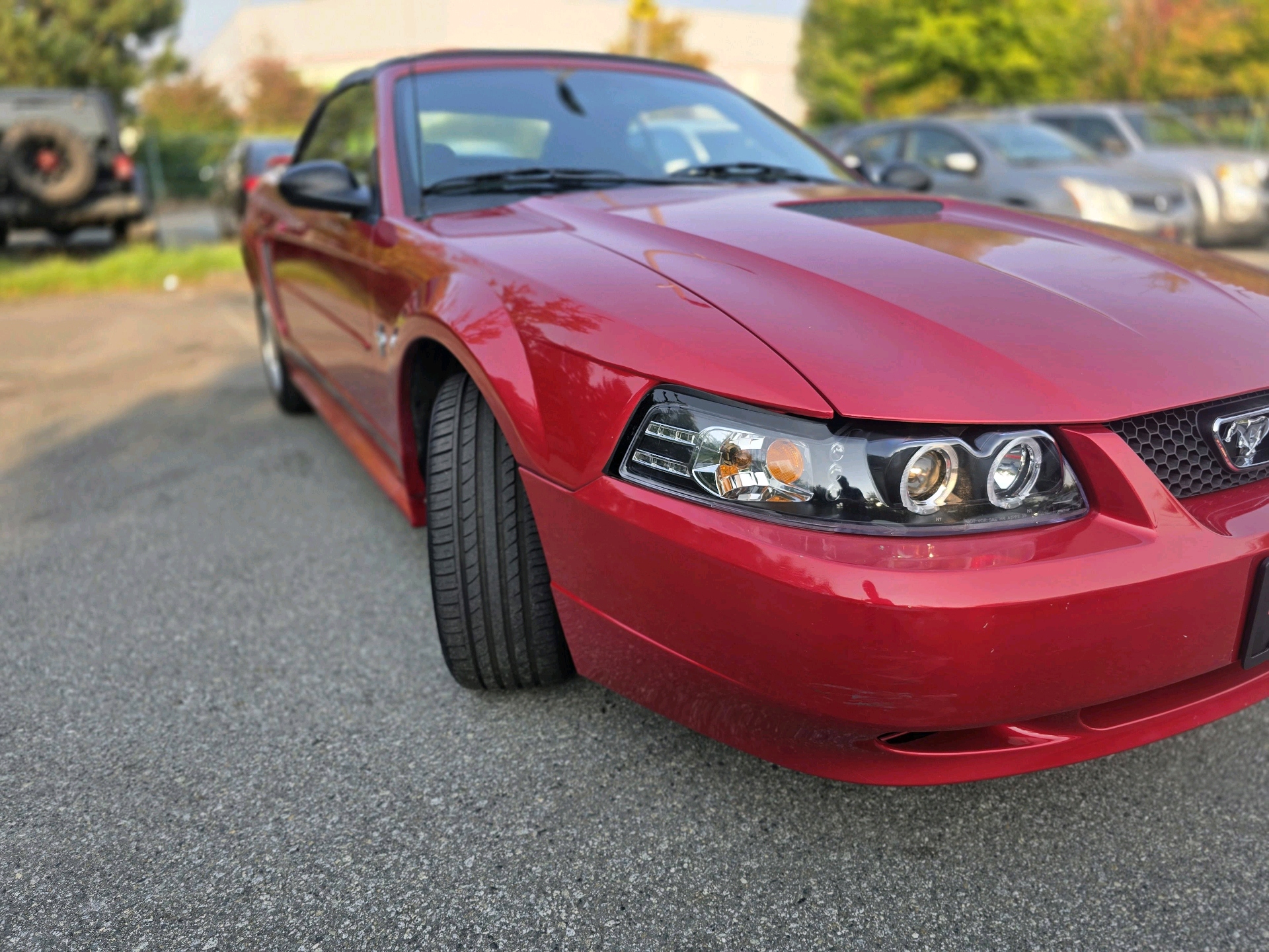 /moryaautosltd/2001-Ford-Mustang-901460433053501.jpg