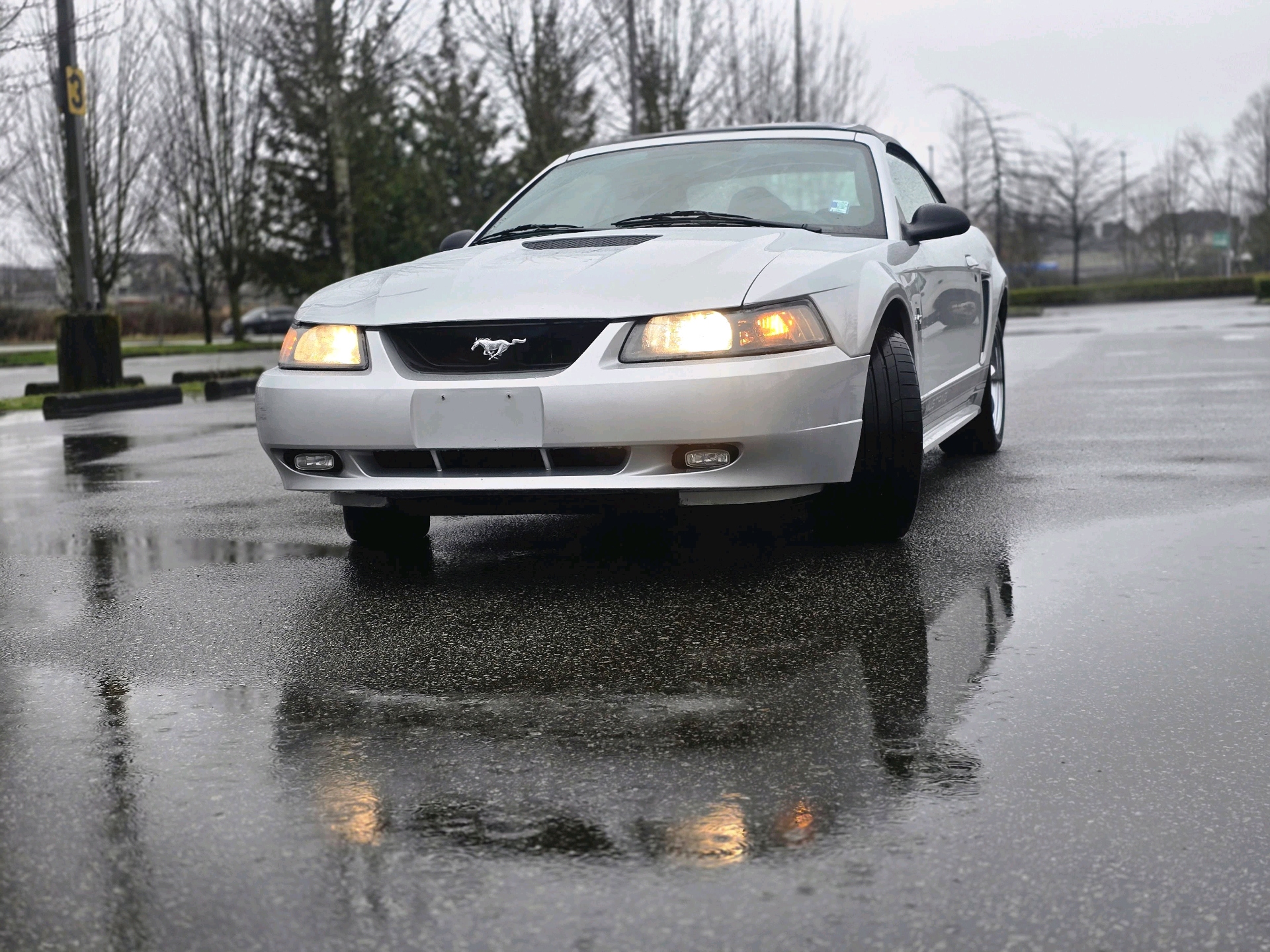 /moryaautosltd/2002-Ford-Mustang-47718383906898265.jpg