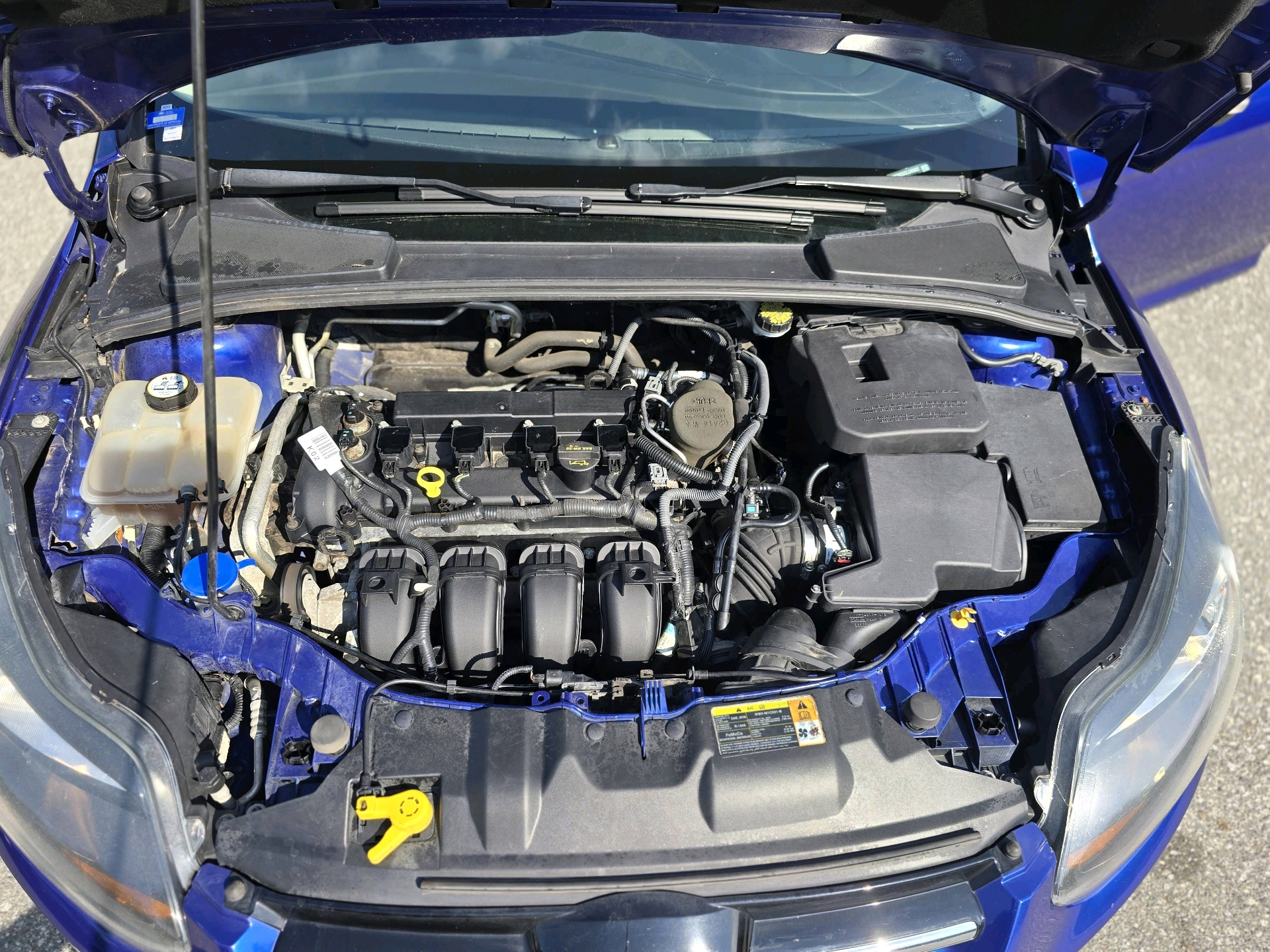 /moryaautosltd/2012-Ford-Focus-2670462098554034.jpg