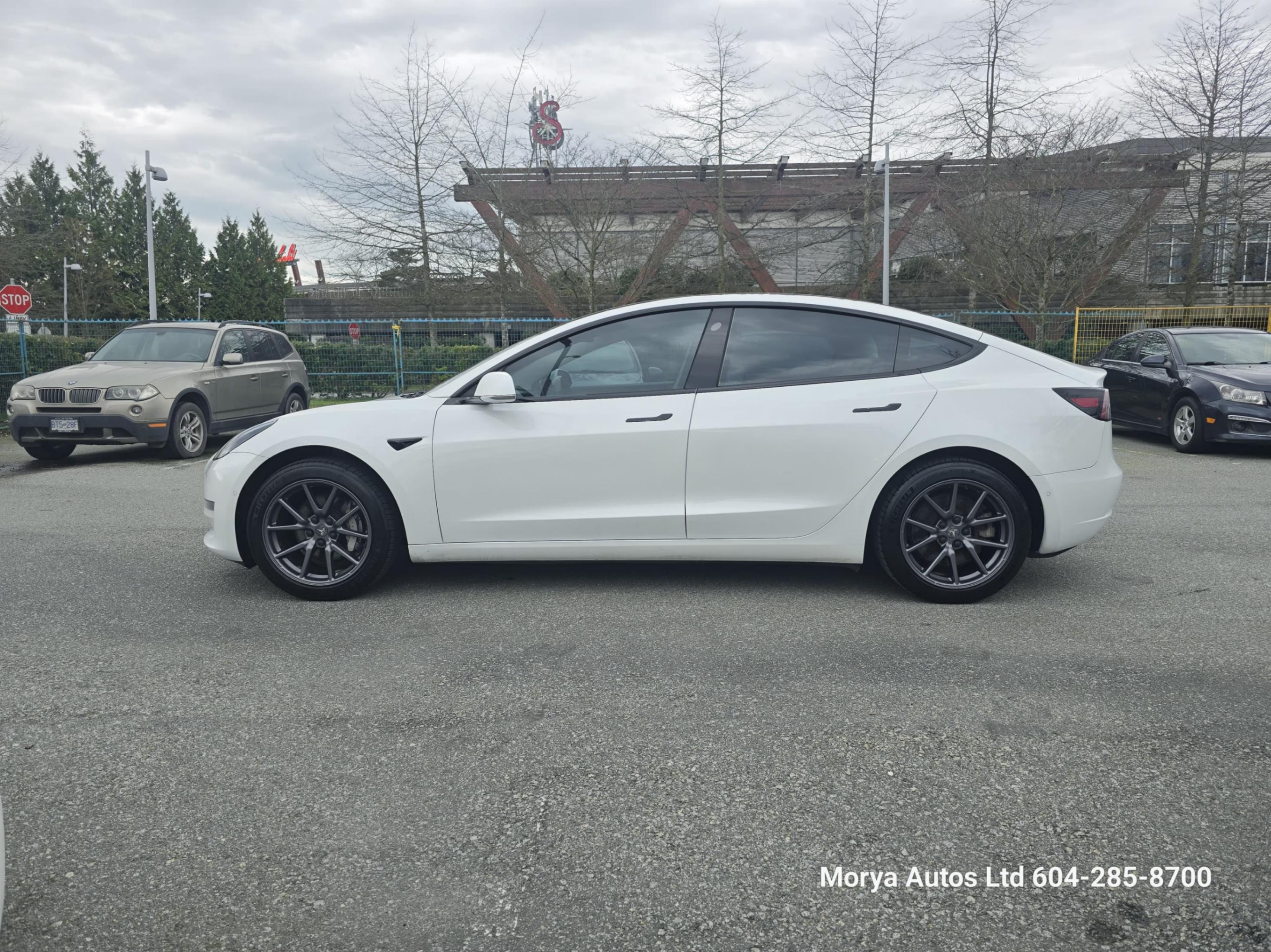 /moryaautosltd/2020-Tesla-Model3-4638256250339581.jpg