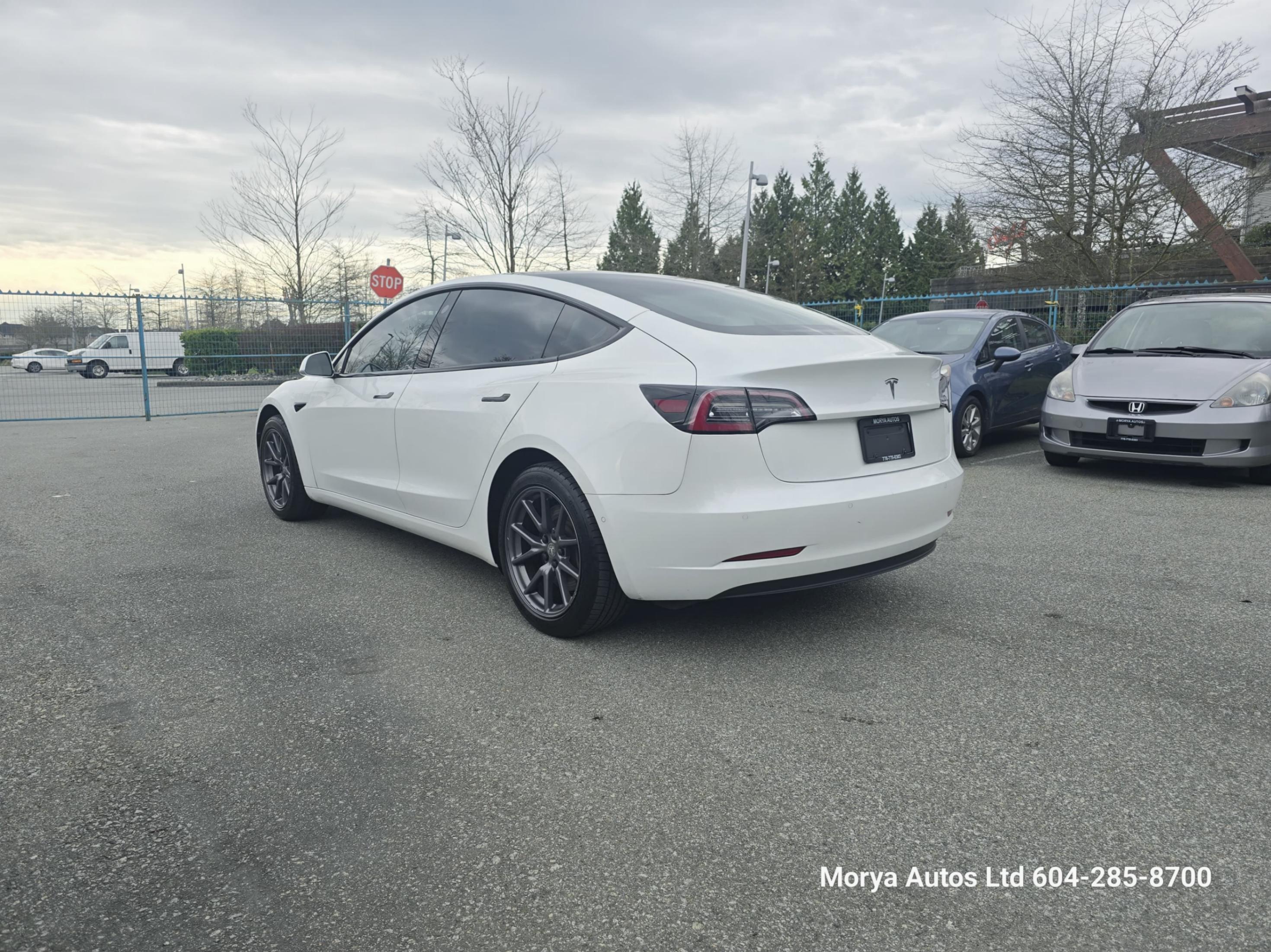/moryaautosltd/2020-Tesla-Model3-5262677271379077.jpg