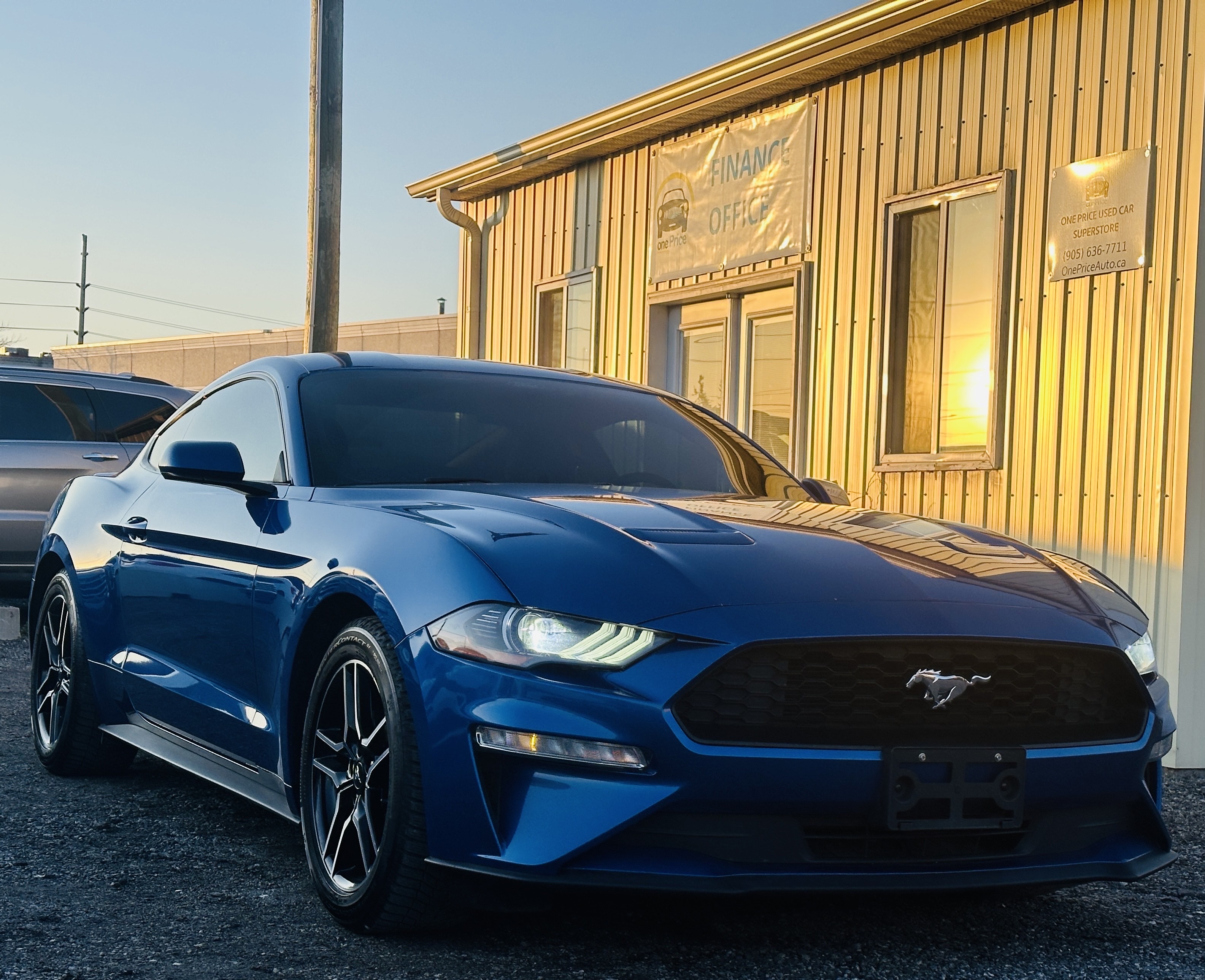 2018 Ford Mustang EcoBoost FastBack-CLEAN CARFAX!