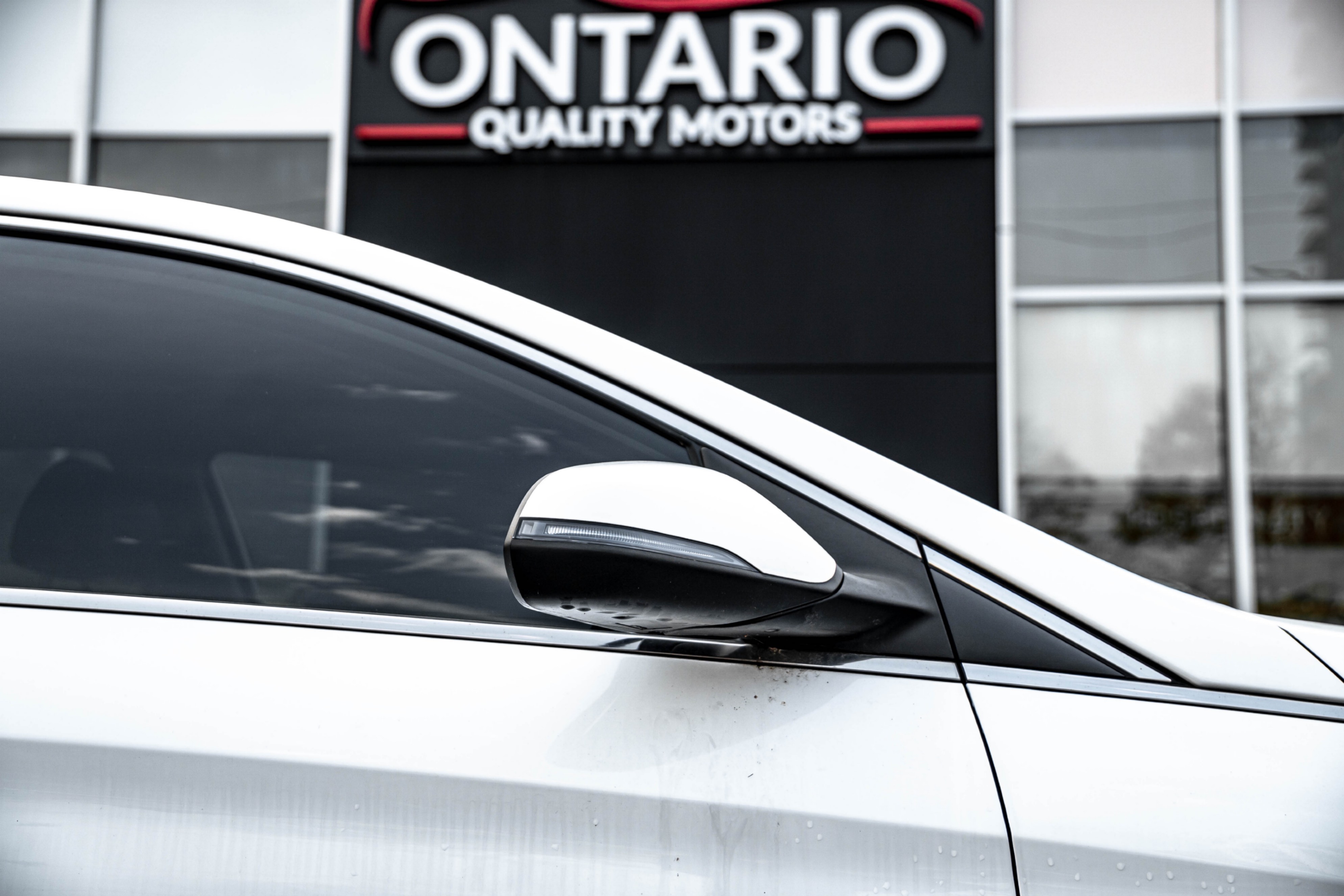 /ontarioqualitymotorsetobicoke/2019-Hyundai-Sonata-07491541723309325.jpg