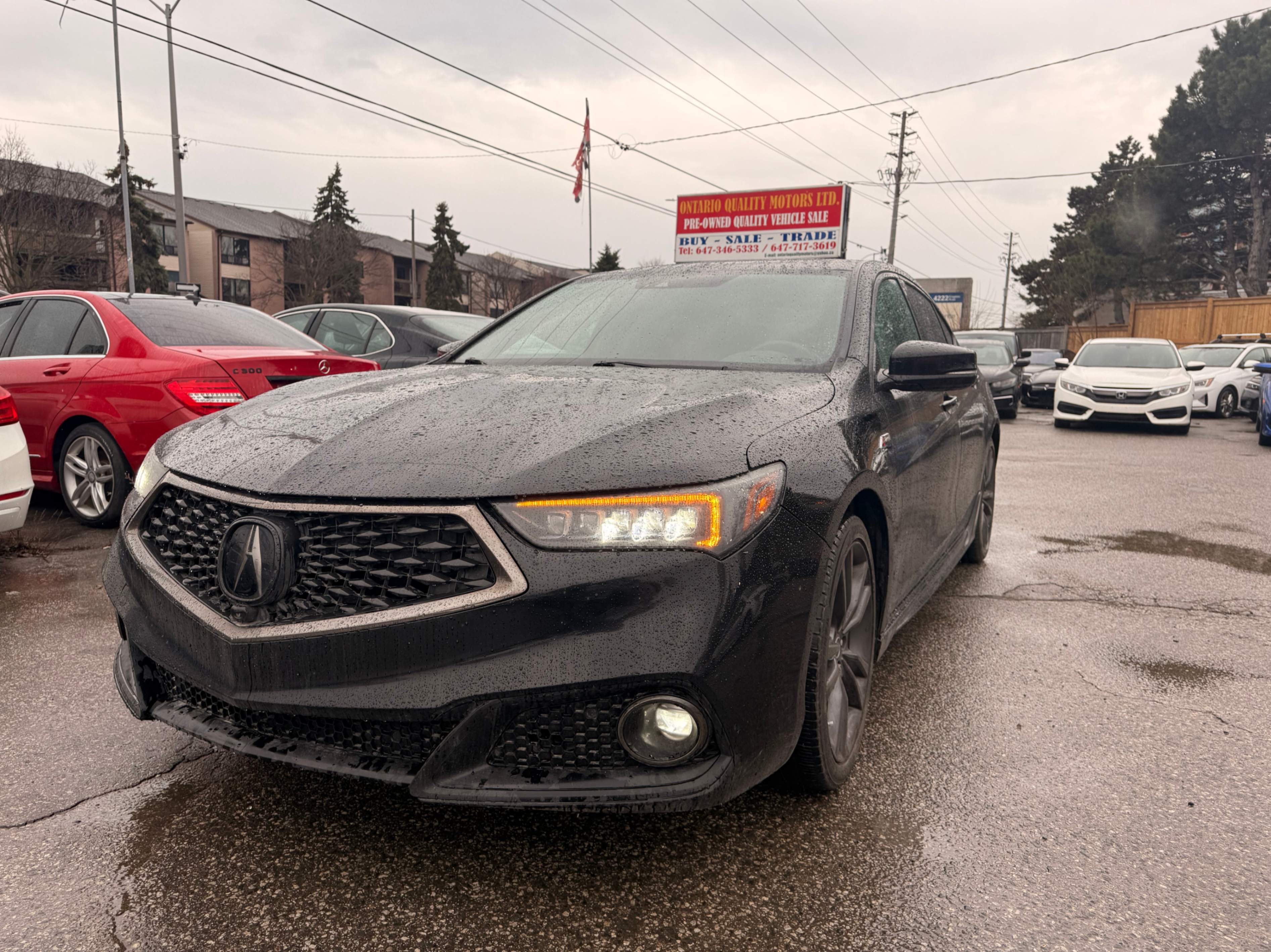 /ontarioqualitymotorsltd/2019-Acura-TLX-09232274135986174.jpg