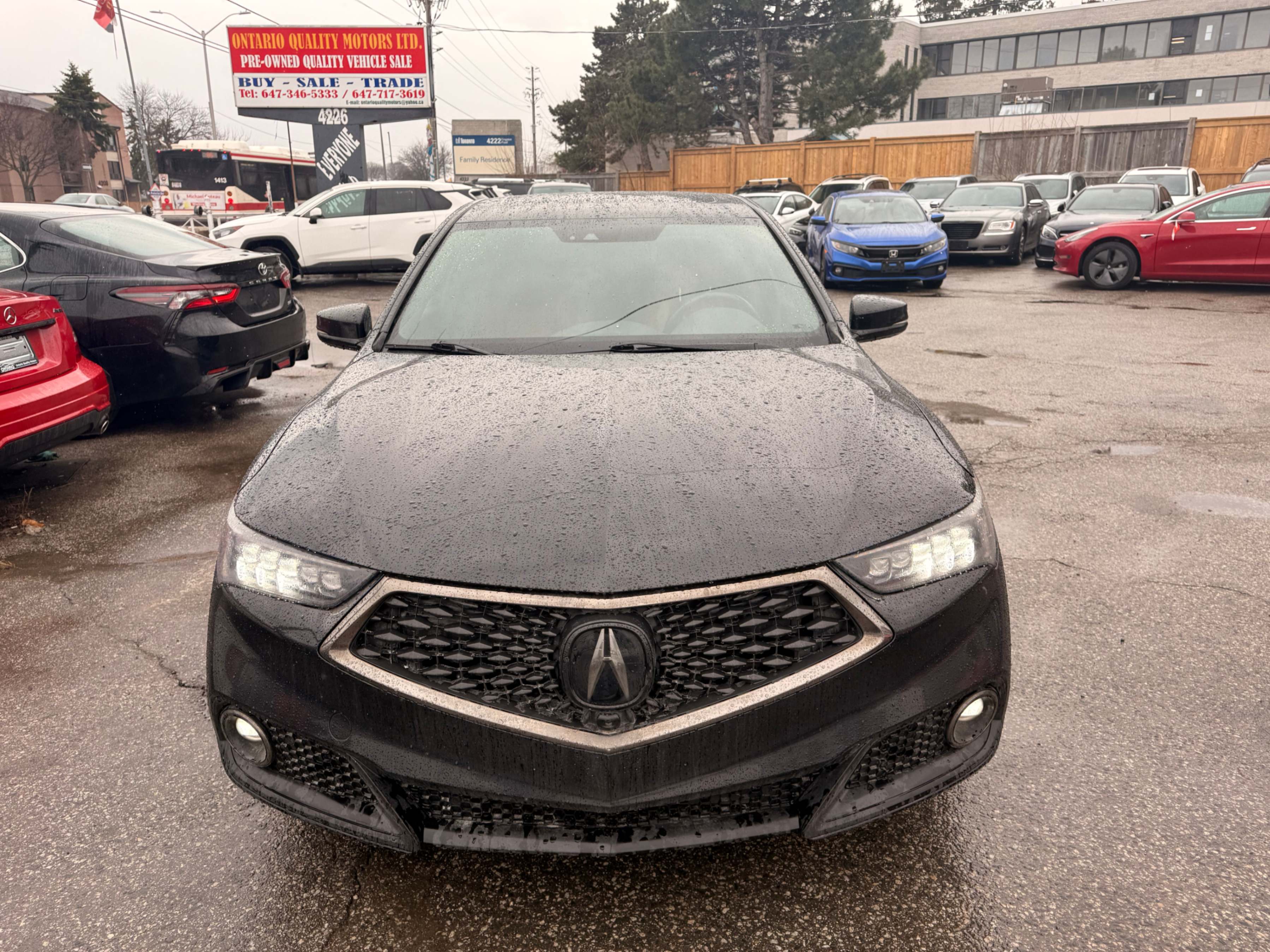 /ontarioqualitymotorsltd/2019-Acura-TLX-9319660593643102.jpg