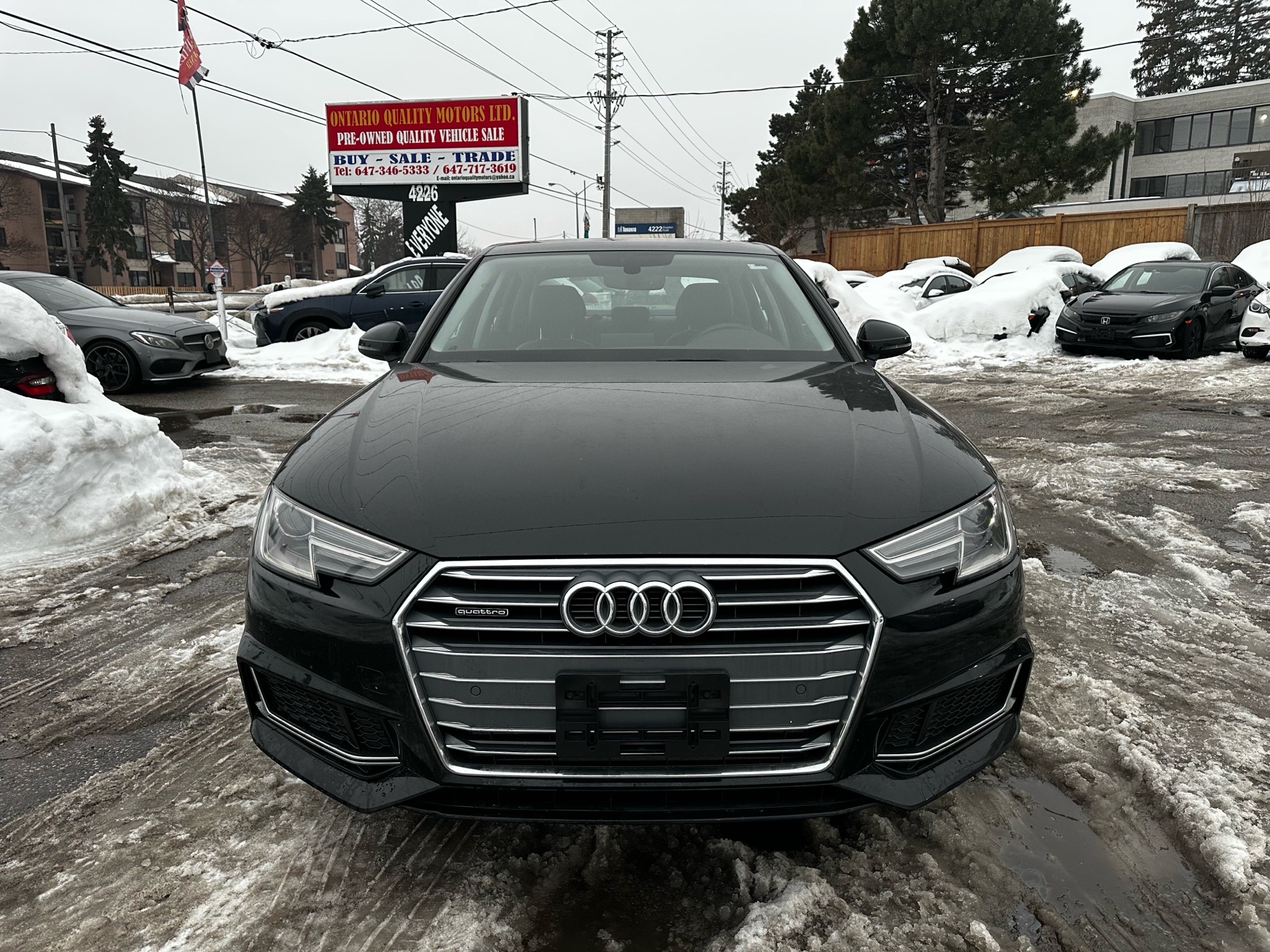/ontarioqualitymotorsltd/2019-Audi-A4-29304512356053847.jpg