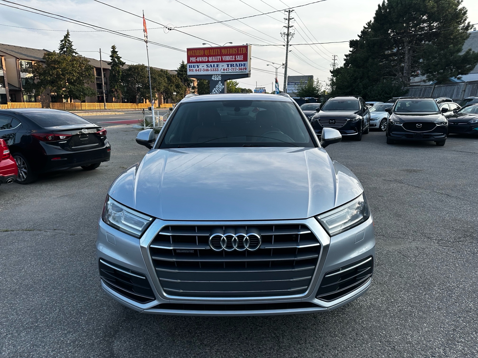/ontarioqualitymotorsltd/2019-Audi-Q5-8547329916351474.jpg
