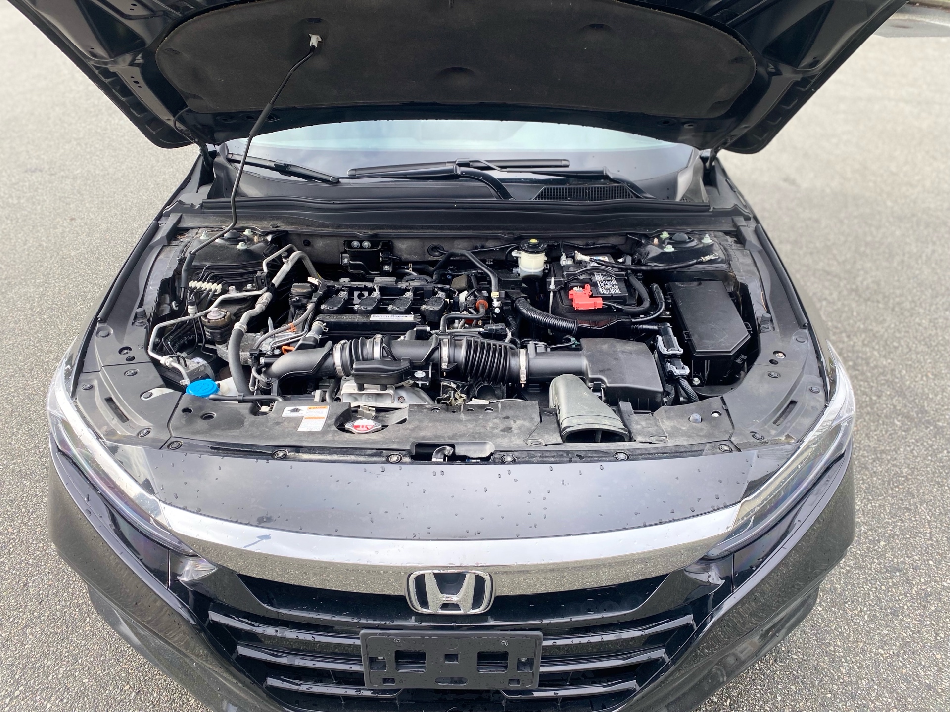 /parwazautomotiveltd/2019-Honda-Accord-7273519979680272.jpg
