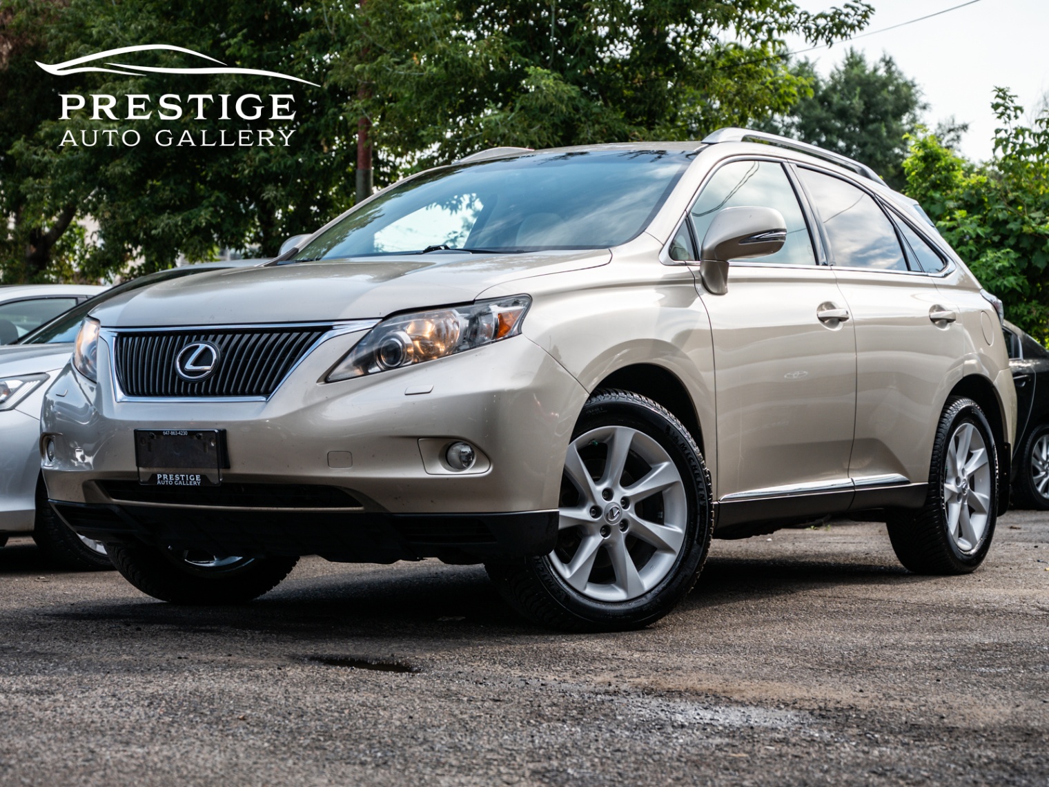 /prestigeautogallery/2012-Lexus-RX350-15658393447706564.jpg