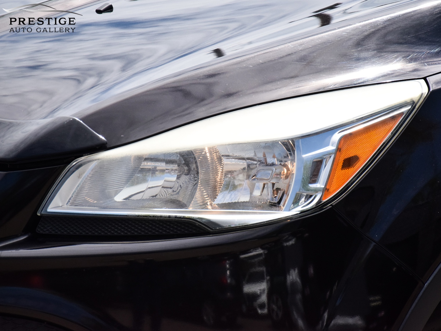 /prestigeautogallery/2013-Ford-Escape-5567618008816007.jpg