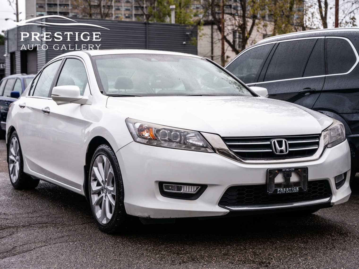 /prestigeautogallery/2013-Honda-AccordSedan-05275327567694954.jpg