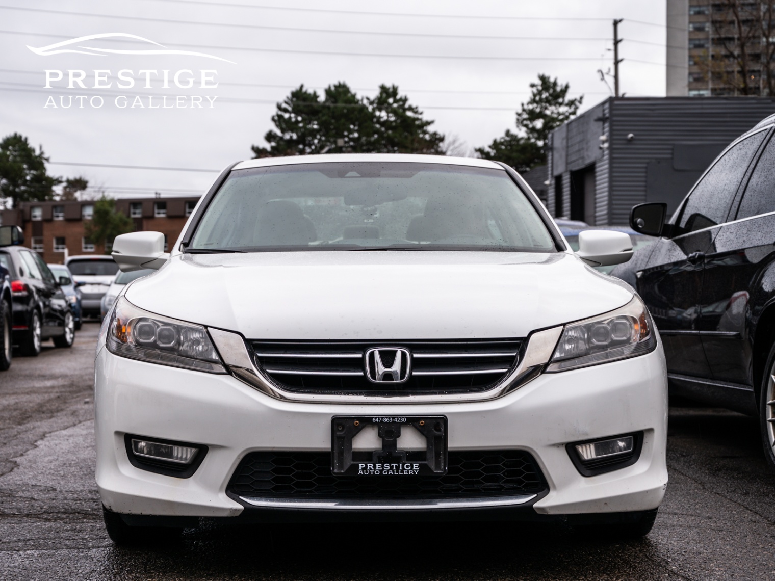 /prestigeautogallery/2013-Honda-AccordSedan-6294305125825168.jpg