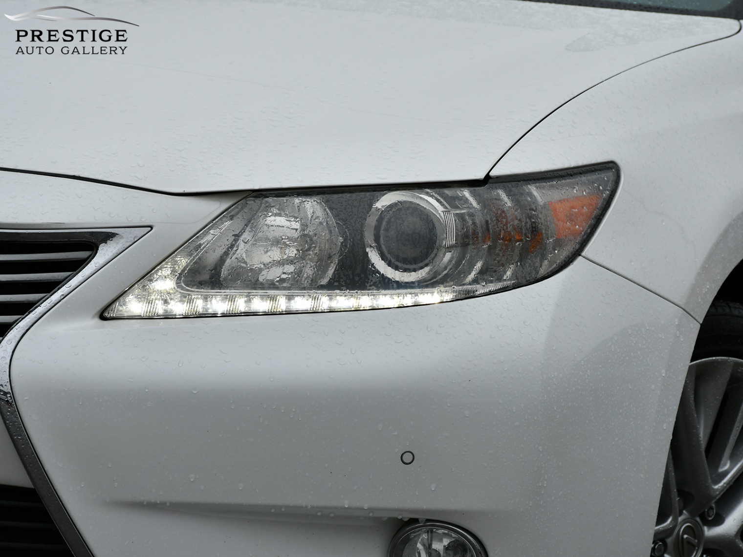 /prestigeautogallery/2013-Lexus-ES-7772283810721956.jpg