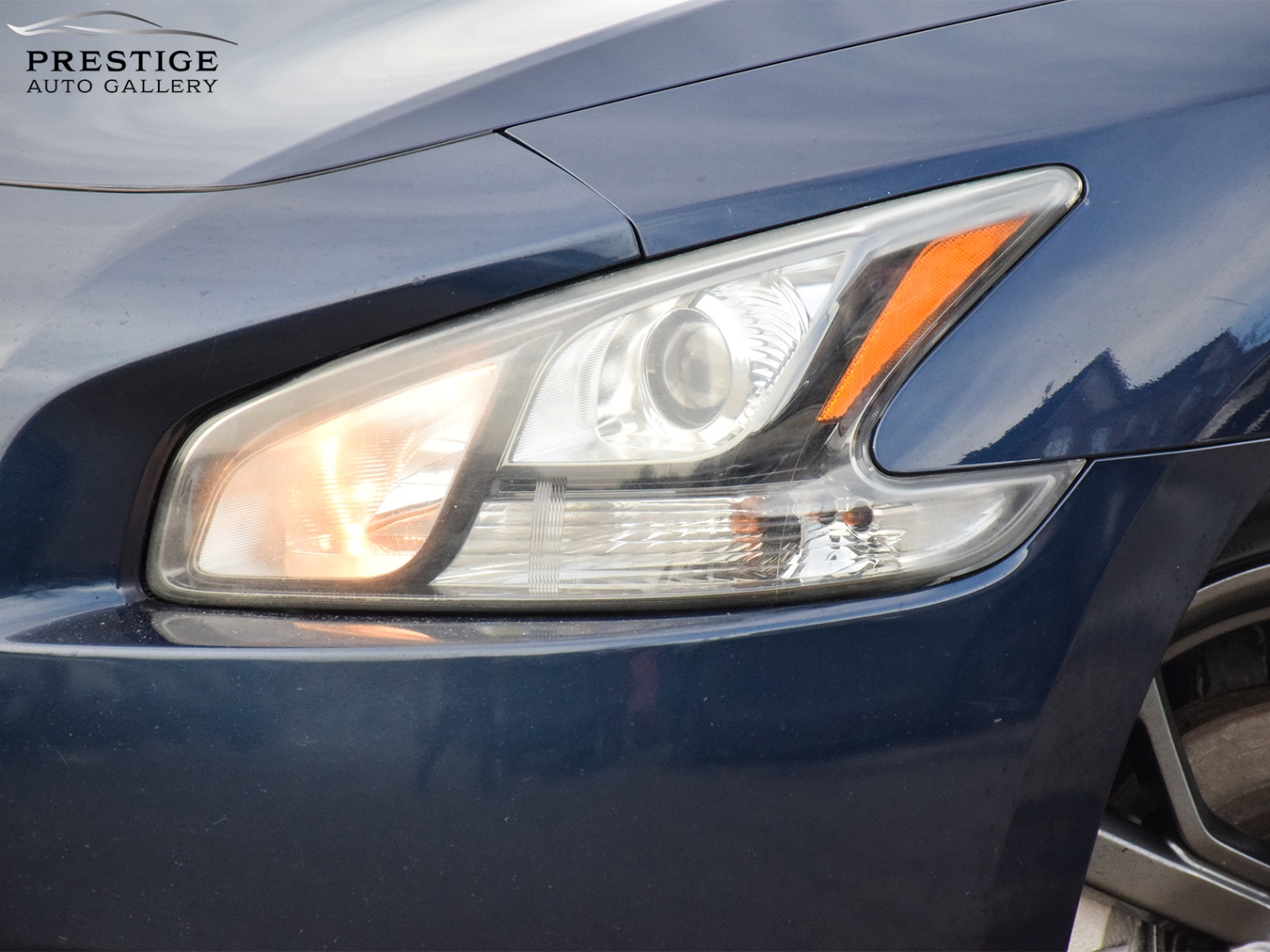 /prestigeautogallery/2014-Nissan-Maxima-8869814007695003.jpg