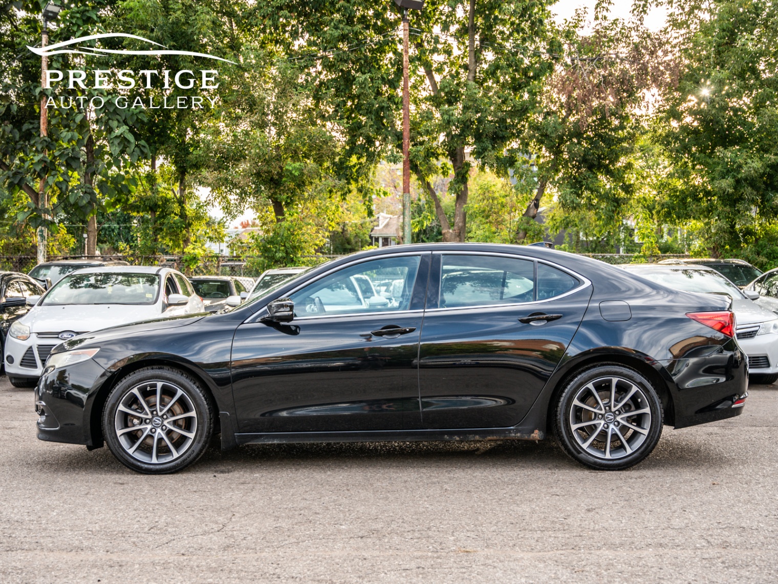 /prestigeautogallery/2015-Acura-TLX-19171265096968648.jpg