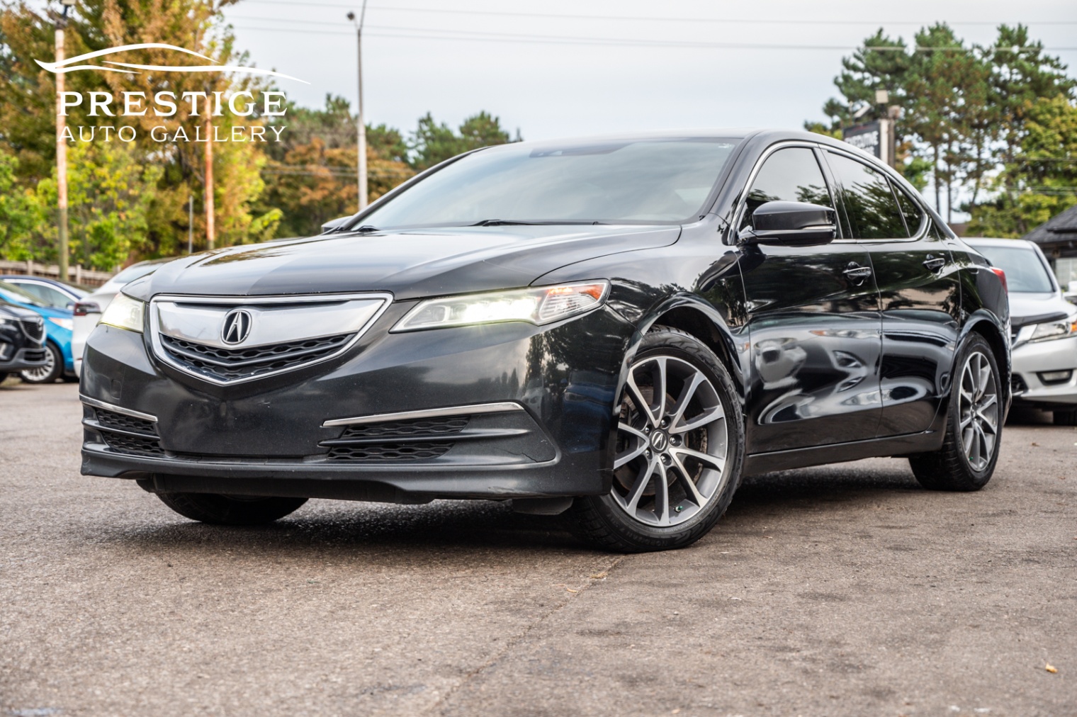 /prestigeautogallery/2015-Acura-TLX-2624593192716387.jpg